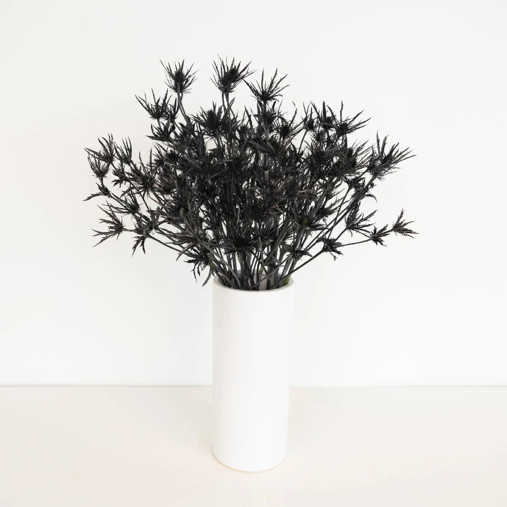 FiftyFlowers Black Thistle Flowers