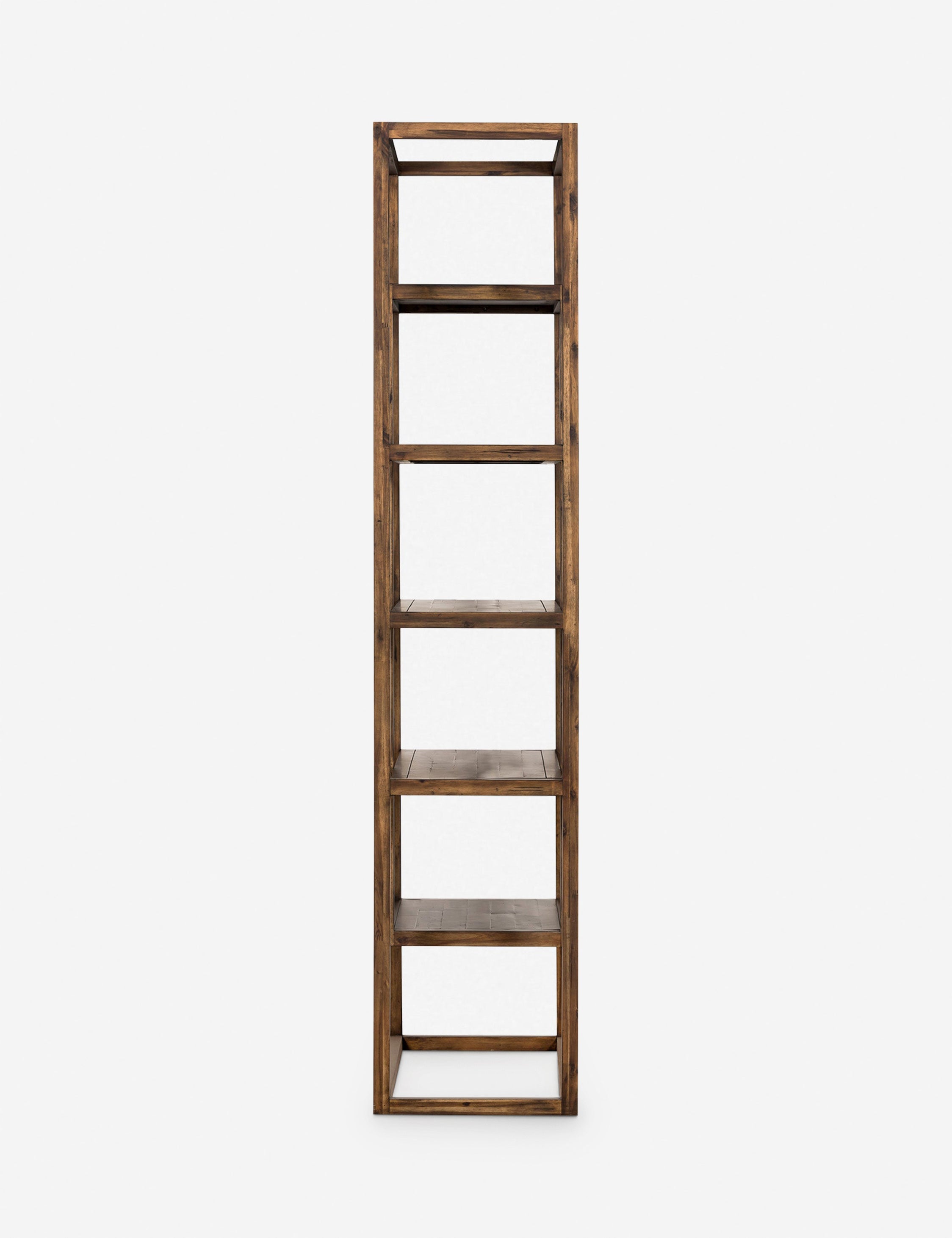 Lulu and Georgia Valda Bookcase - view 3