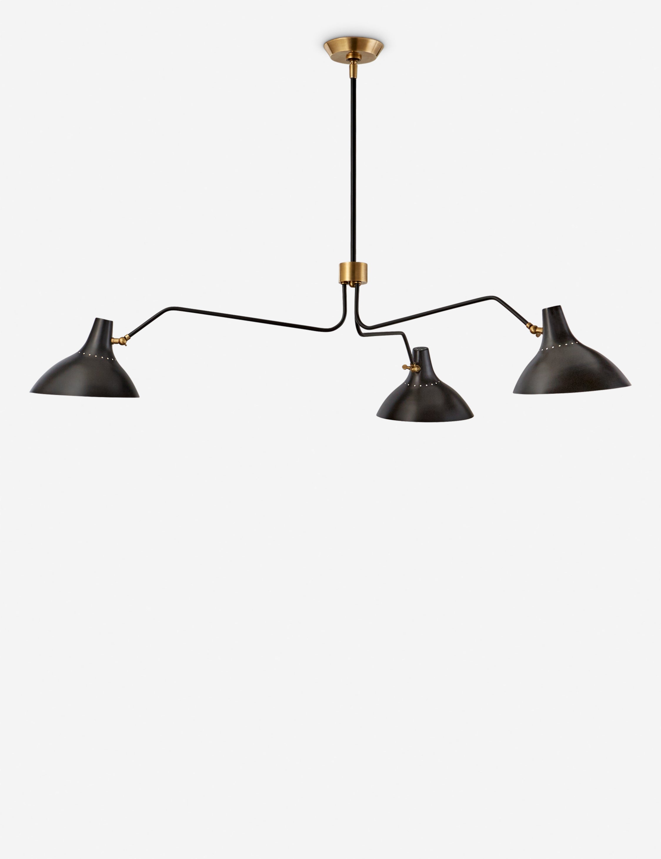 Lulu and Georgia Charlton Chandelier by AERIN
