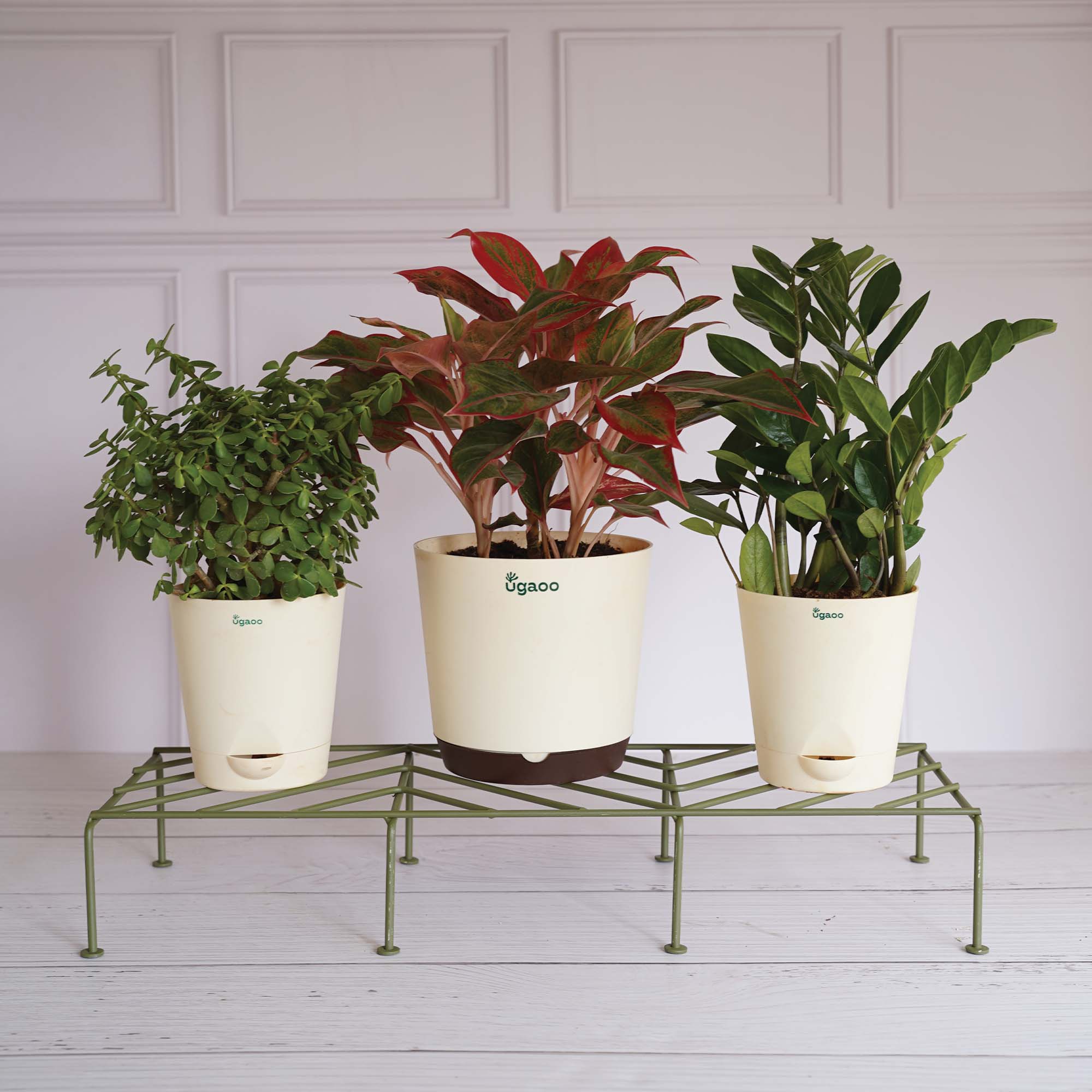 Ugaoo Premium Plants Stand - view 8