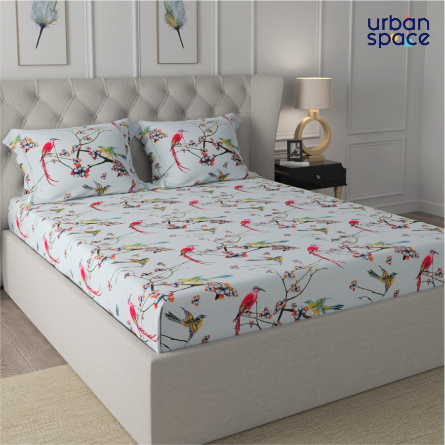 Urban Space -Home Furnishing Store Fitted King Size Cotton Bedsheet - Sparrow Aqua - view 2
