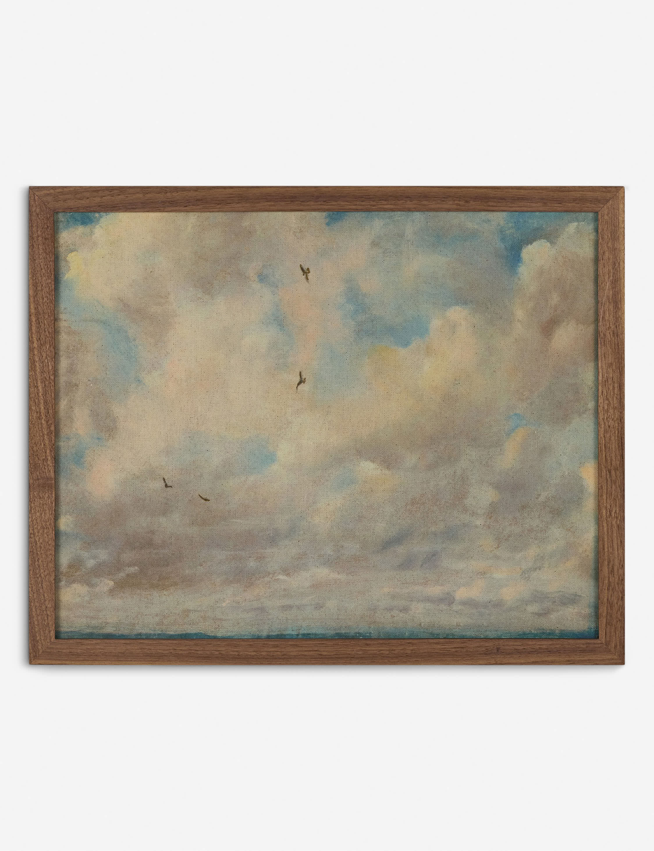Lulu and Georgia Cloud Study With Birds Wall Art by John Constable