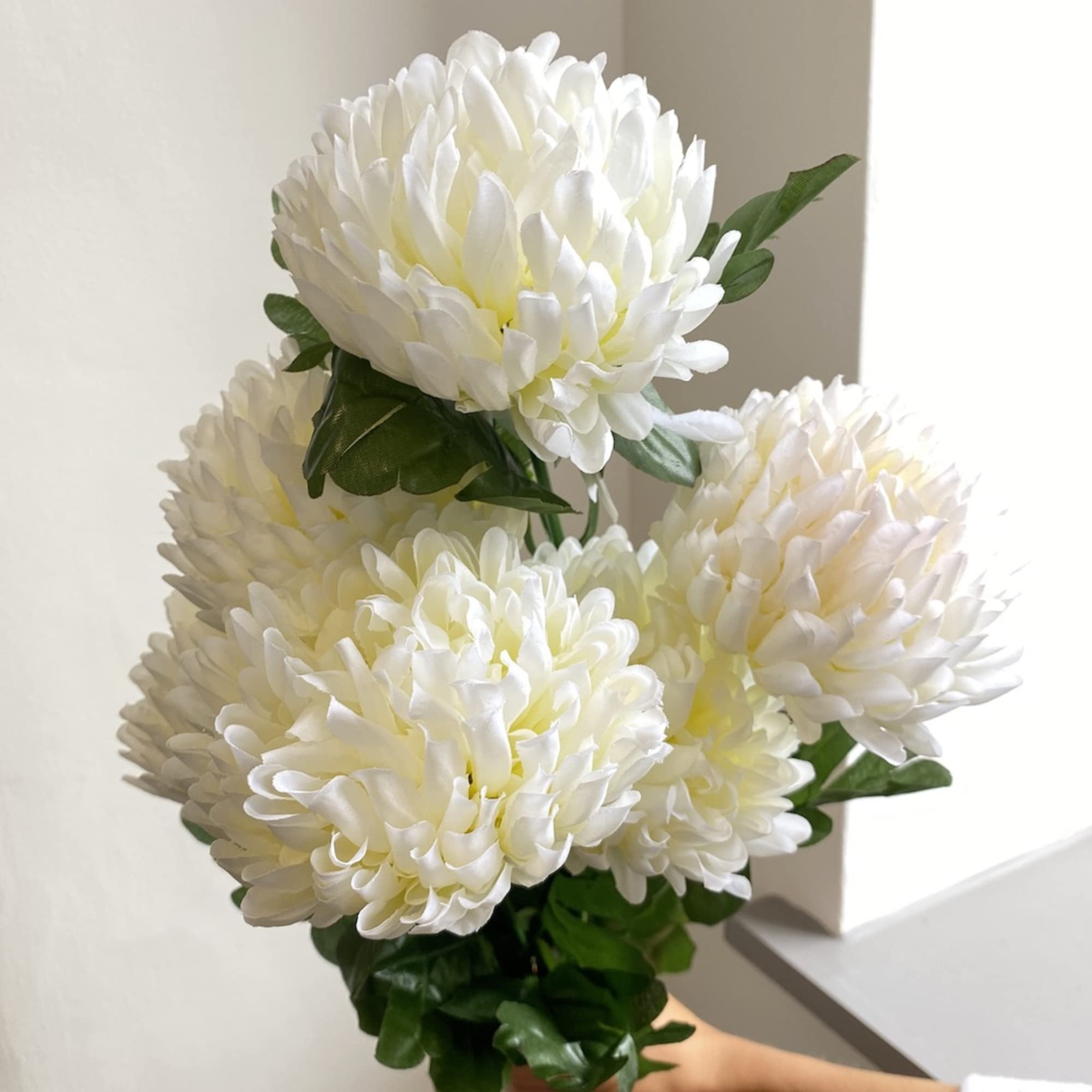 DZ Chrysanthemum White Flowering Live Plant
