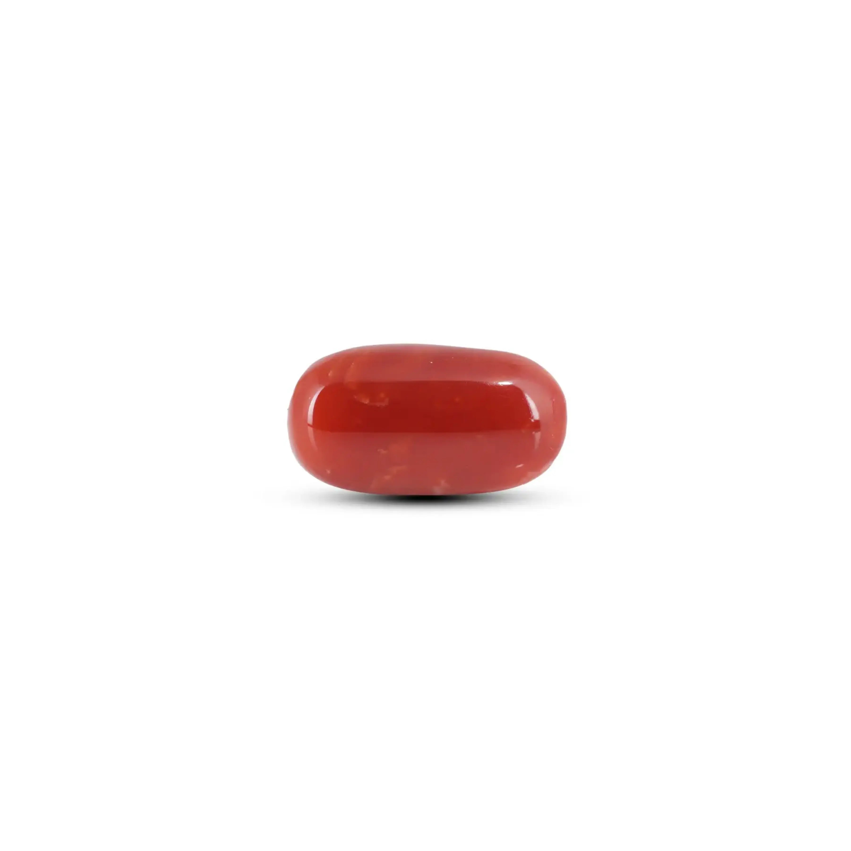 Pramogh Japanese Red Coral - 12.4 Carat