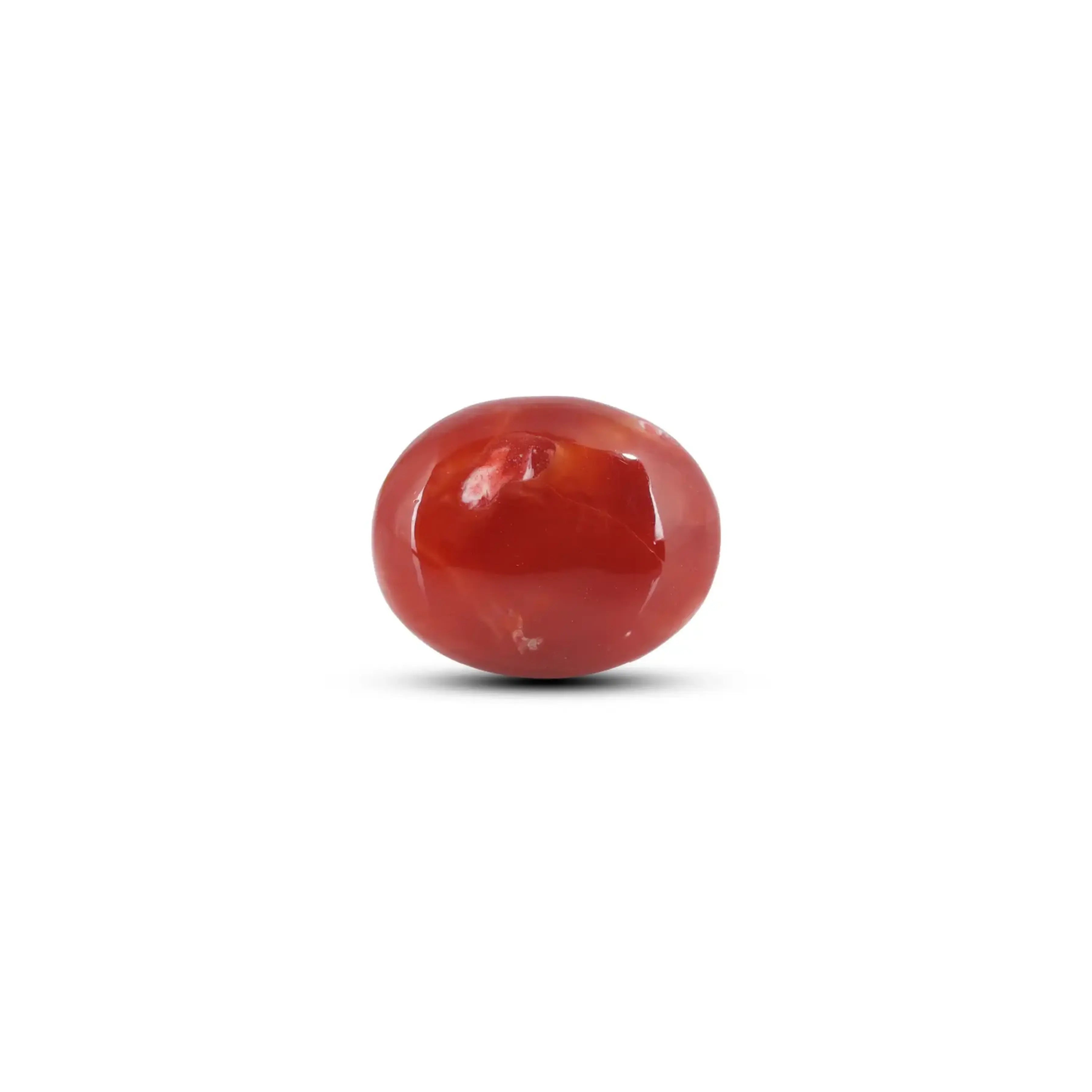 Pramogh Japanese Red Coral - 6 Carat