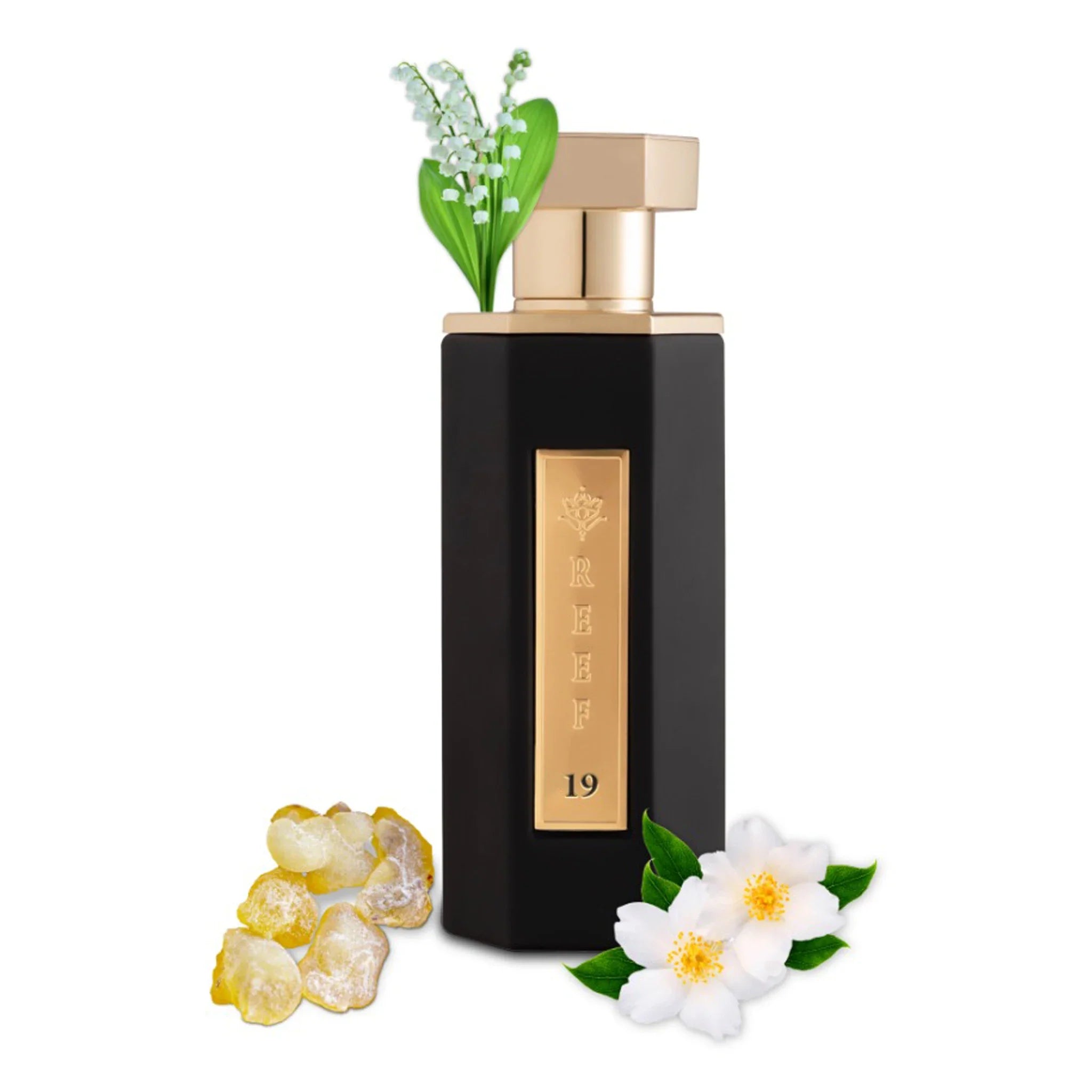 REEF Perfumes REEF 19 Eau De Parfum 100ml