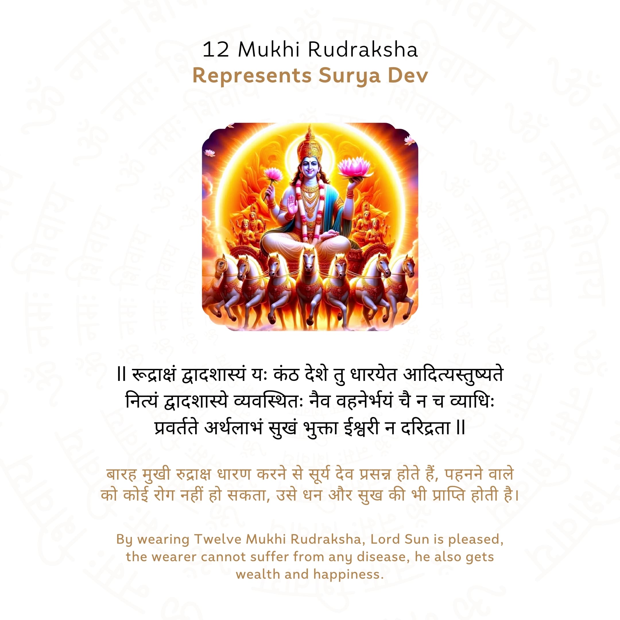 Prinjal Jewellers 12 Mukhi Rudraksha ( Nepali ) - view 4