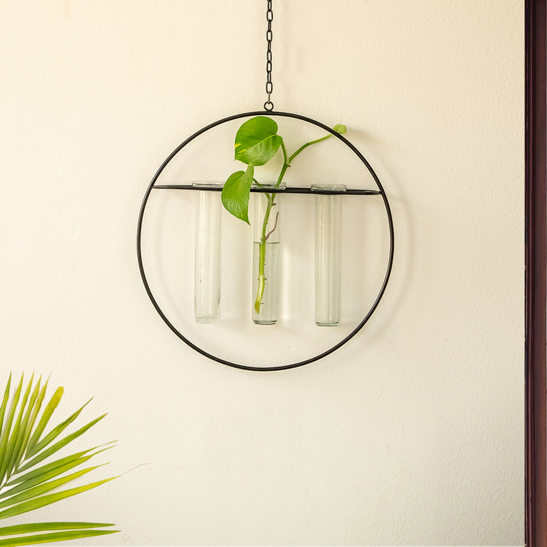 EXCLUSIVELANE 'Modern Glass Garden' Test Tube Hanging Planter/Vases (12 Inch, Black)