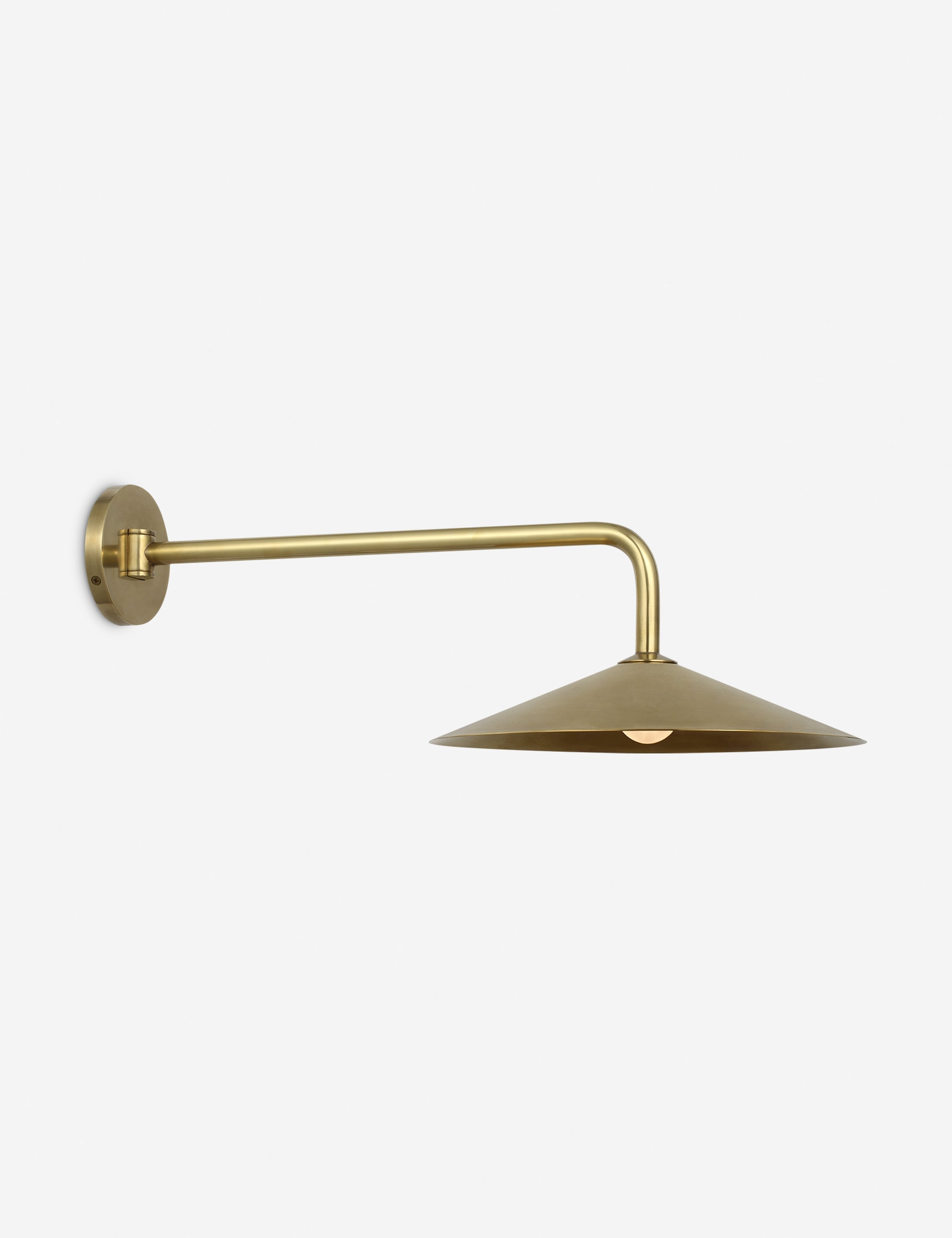 Lulu and Georgia Ponce Articulating Sconce by Amber Lewis