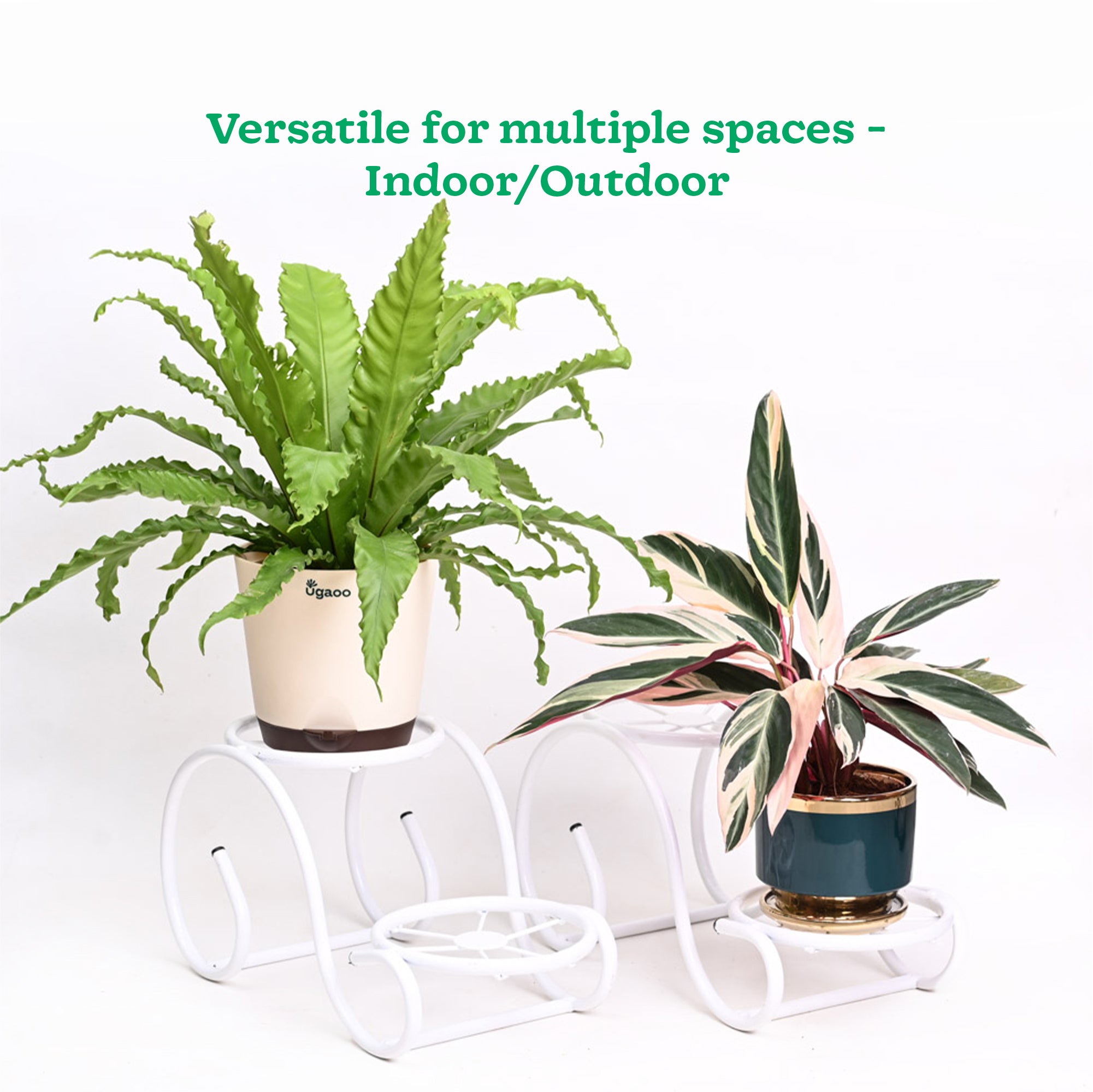 Ugaoo Swirl Decorative Plant stand- Set of 2- White - view 4