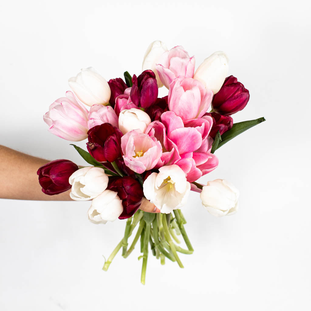FiftyFlowers Tulip Love Valentine Bouquet
