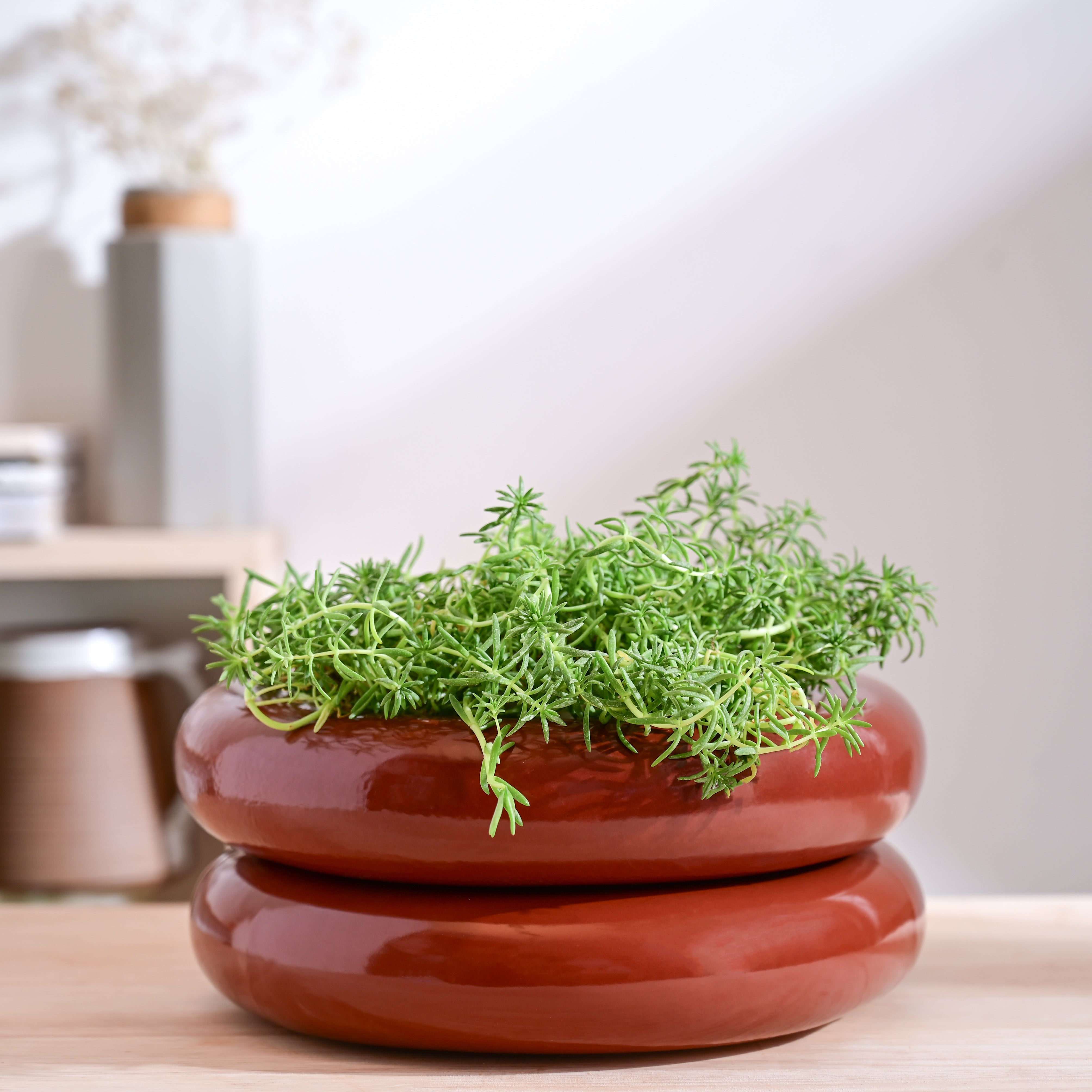 Ugaoo Tiny Kisses Ceramic Planter