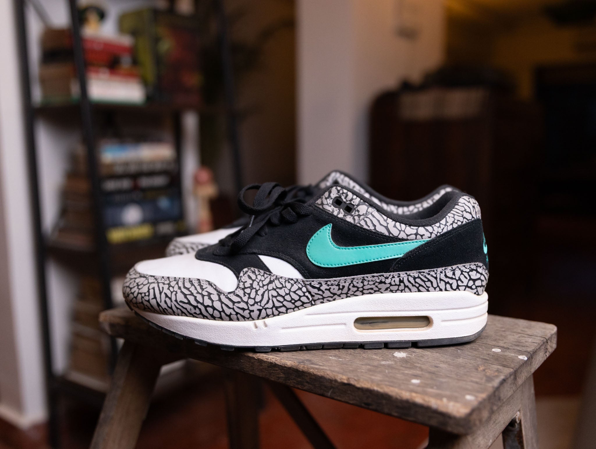 Nike Air Max 1 Atmos x Jordan