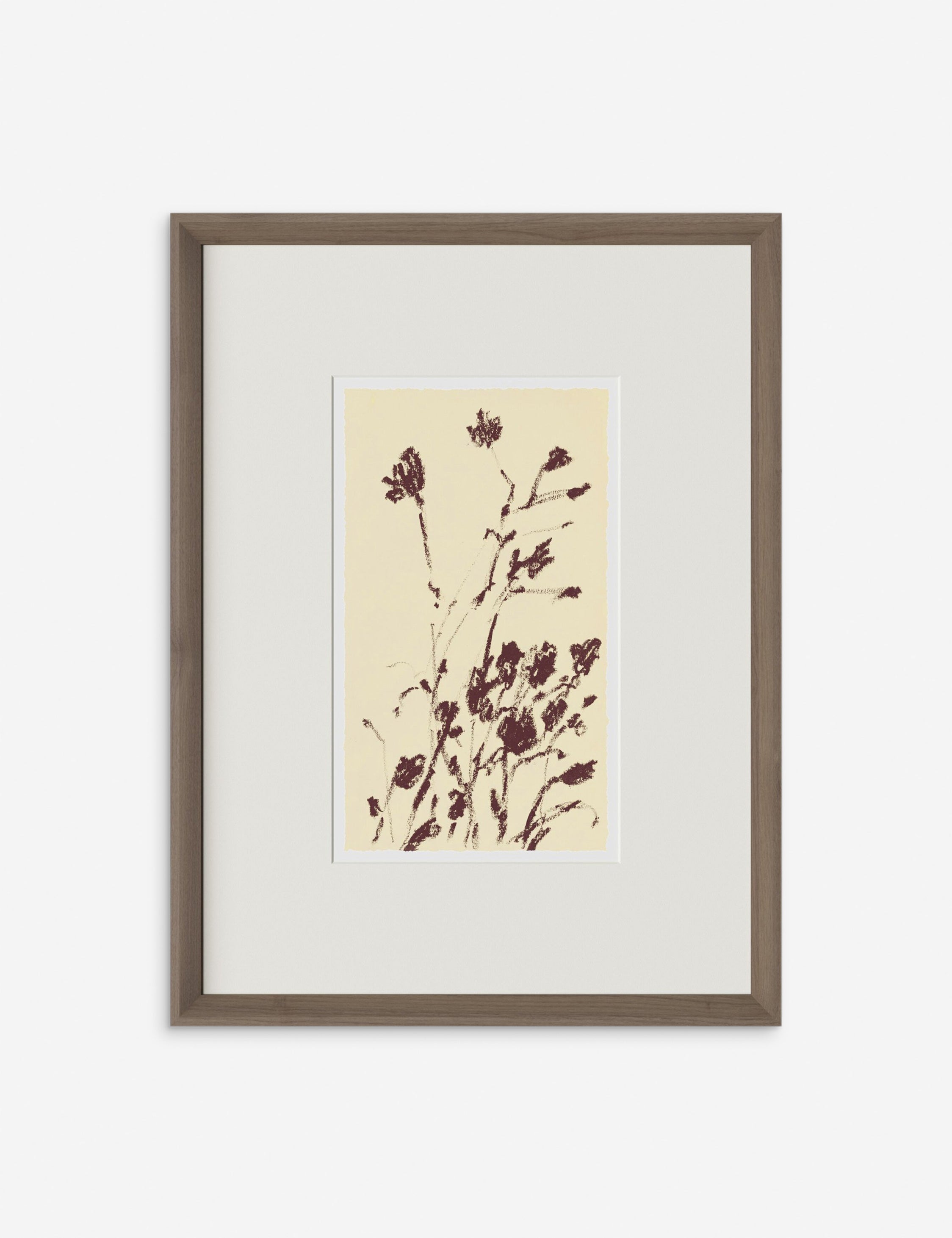 Lulu and Georgia Meadow Rue No. 8 Wall Art by Shaina Page