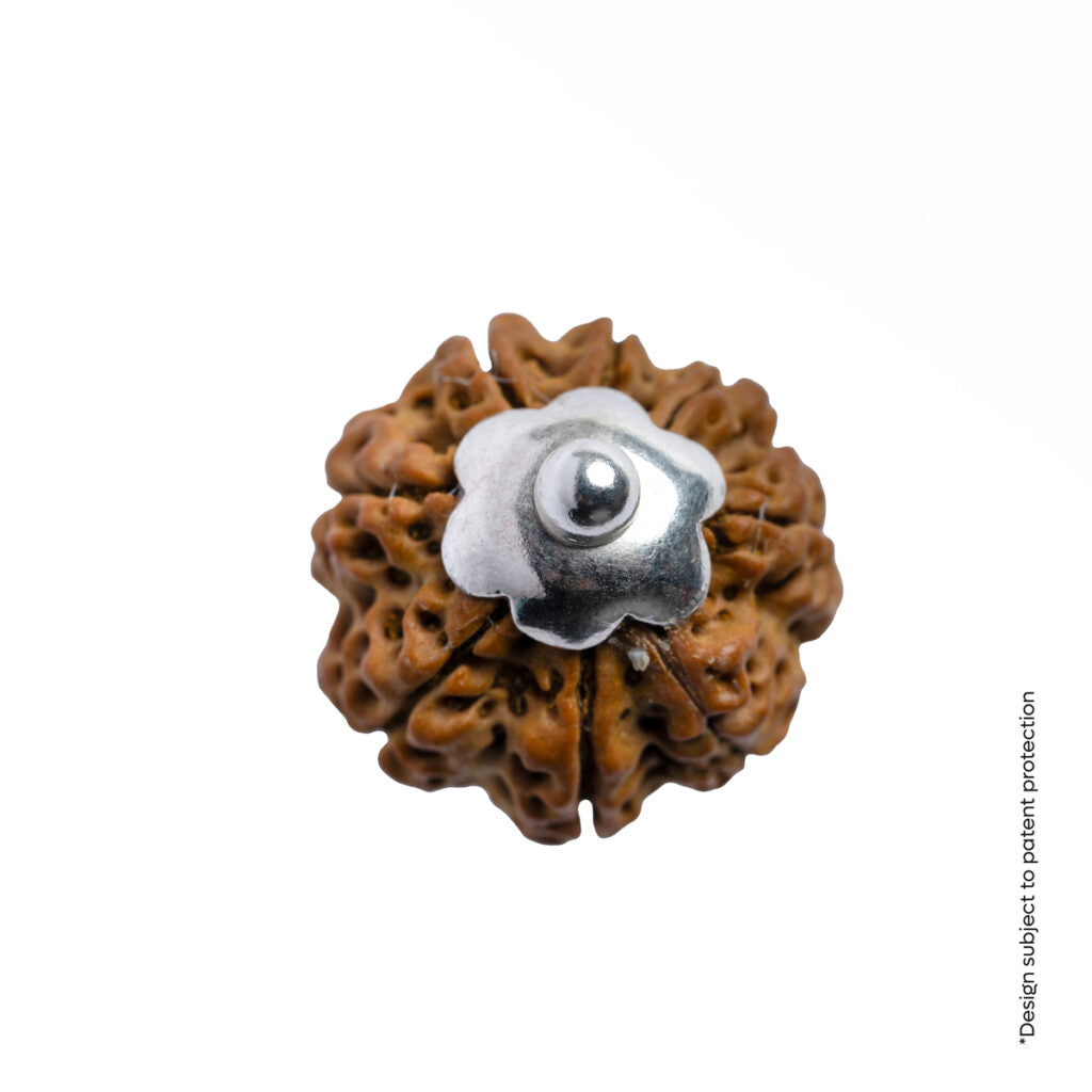 Prinjal Jewellers Adiyogi Pendant (8 Mukhi Nepali Rudraksha) With Chain - view 8