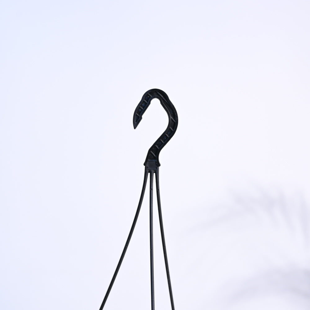 Ugaoo Trailing Jade(Weeping Jade) With Hanging Pot - view 6