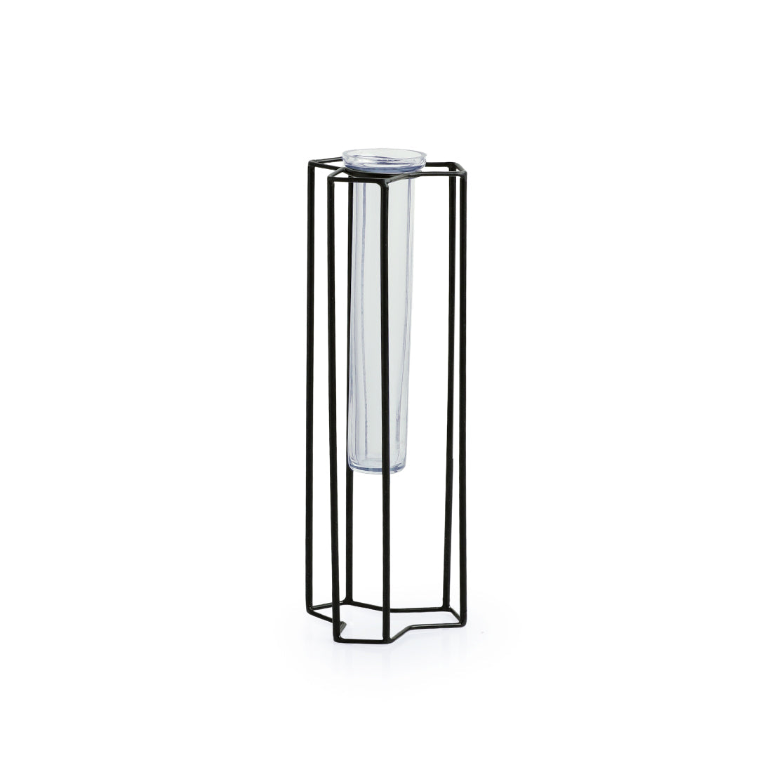 EXCLUSIVELANE 'Modern Glass Garden' Test Tube Table Planter/Vase (10 Inch, Black) - view 4