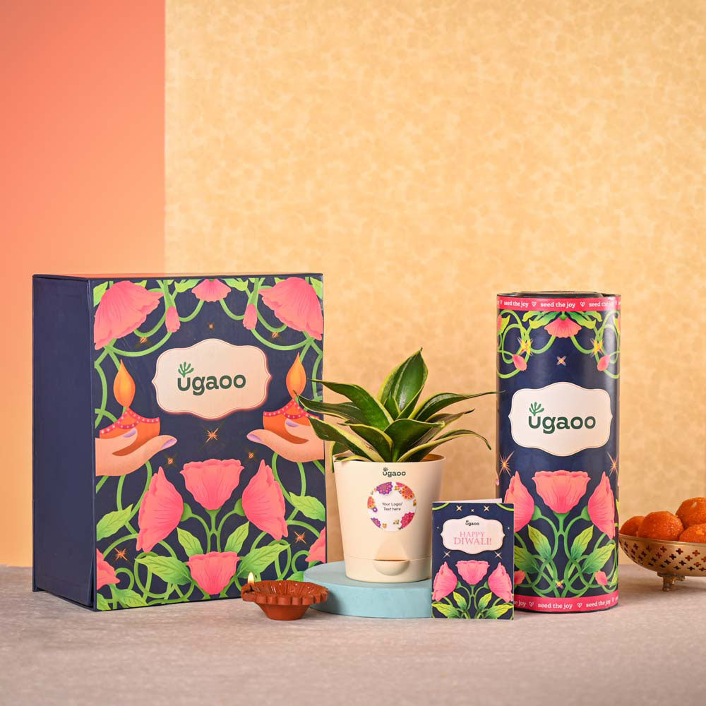 Ugaoo Snake Plant & Bombay Sweet Shop Diwali Gift Hamper - view 2