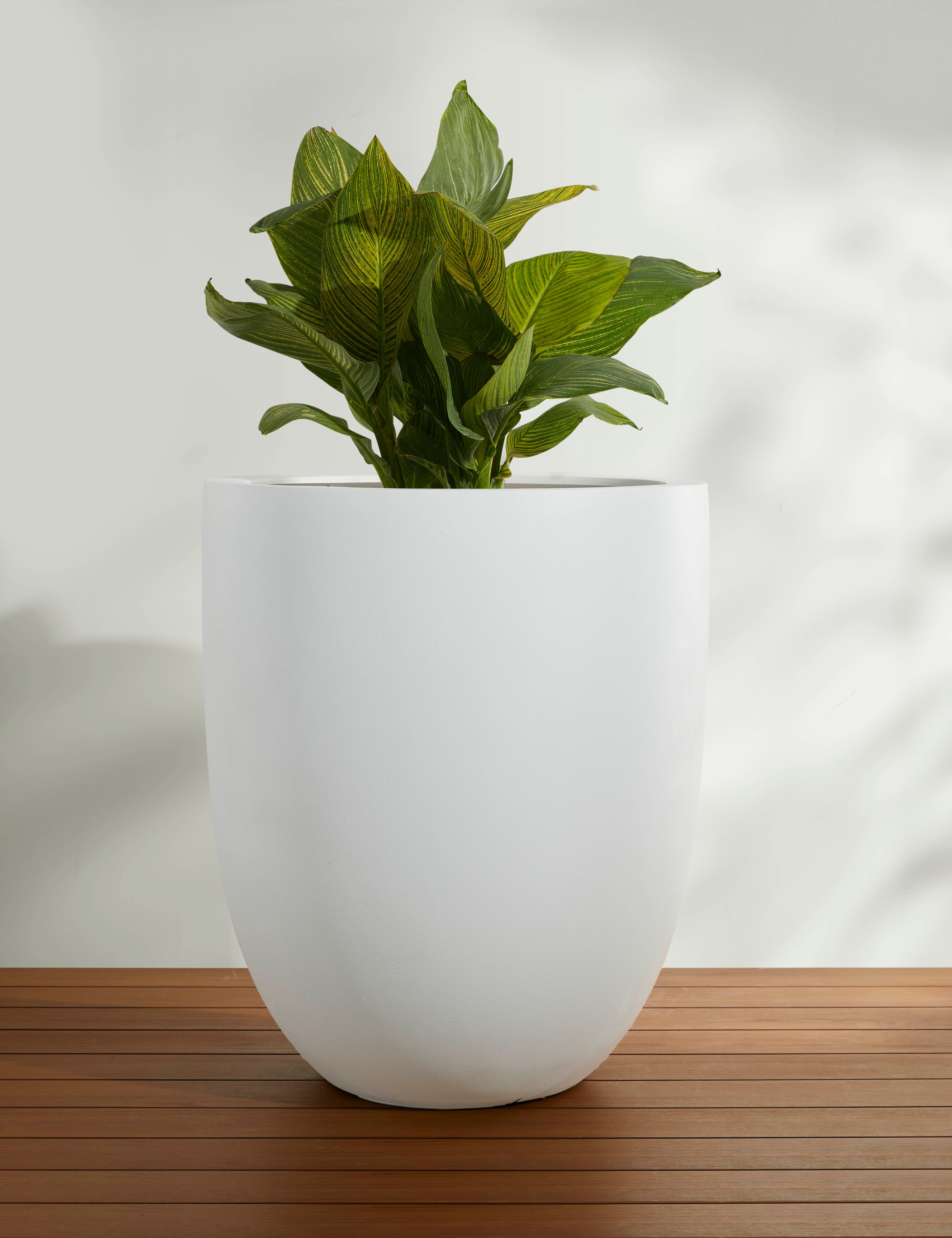 Lulu and Georgia Bradford Planters by Campania International - view 9