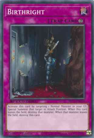 Yu-Gi-Oh! Birthright - SBC1-ENG18 - Common - 1st Edition