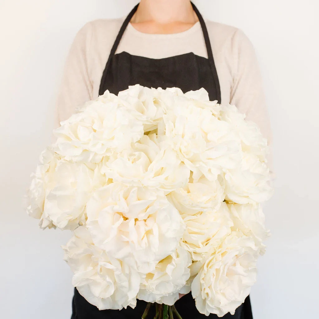 FiftyFlowers Giant White Pearl Garden Roses