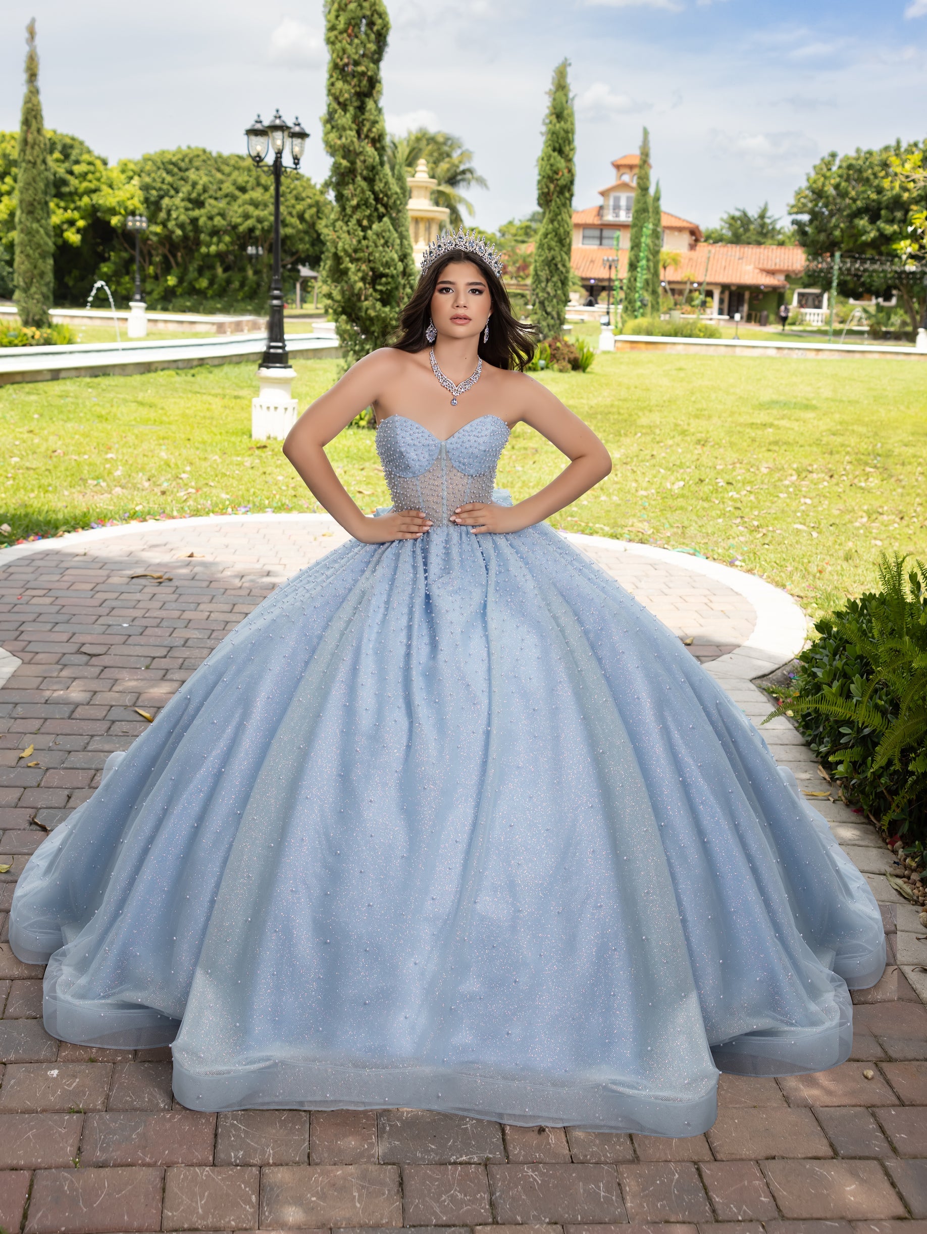 House of Wu Fiesta Gowns Strapless Corset Ball Gown by LizLuo Fiesta 56538