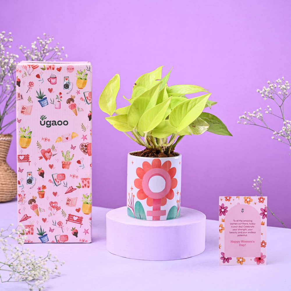 Ugaoo Money Plant Golden in Ceramic Pot Women's Day Gift