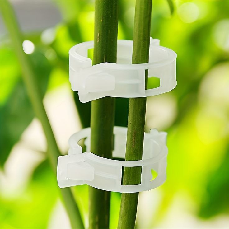 Catterton High Quality Plant Support Clips