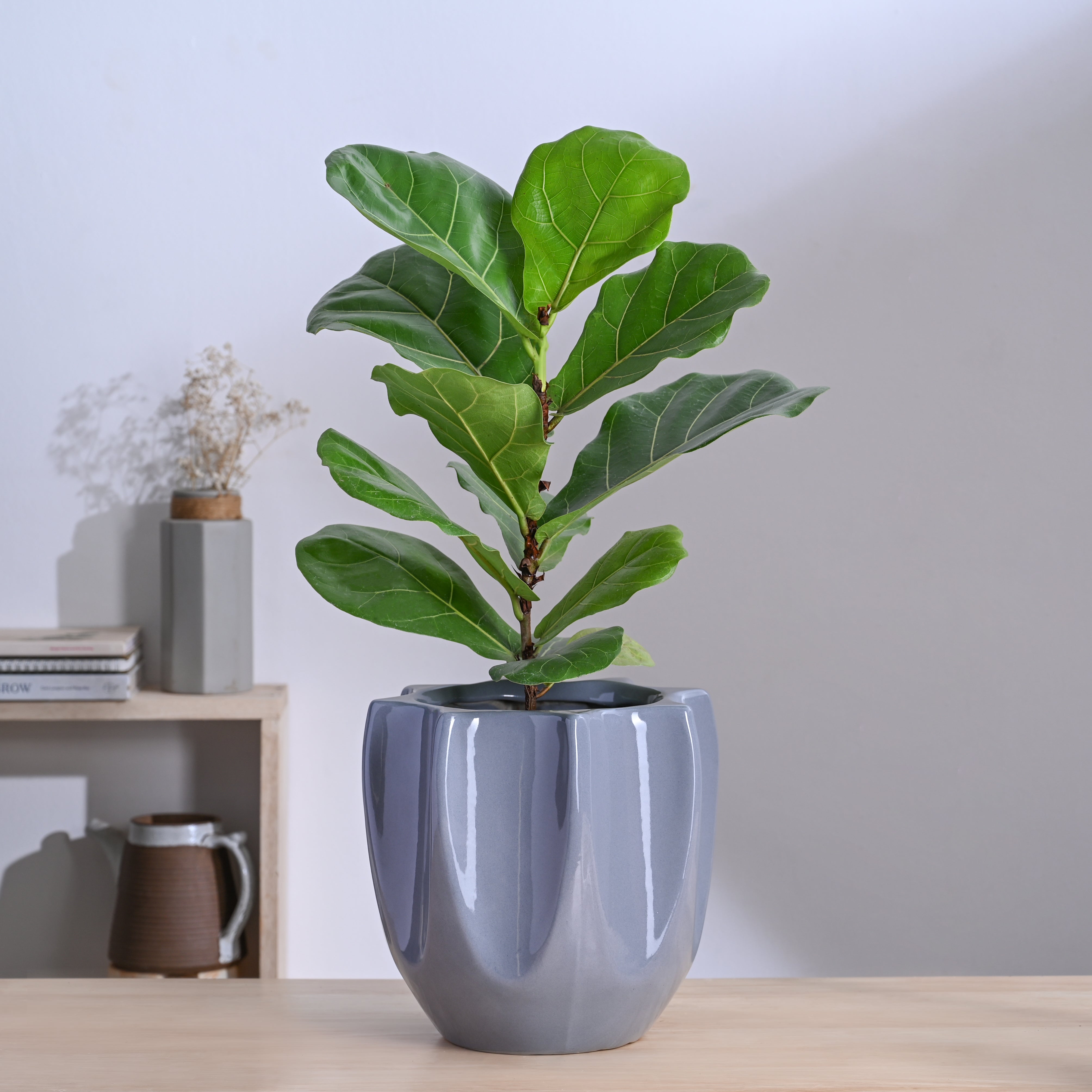 Ugaoo Tranquil Tales Ceramic Planter