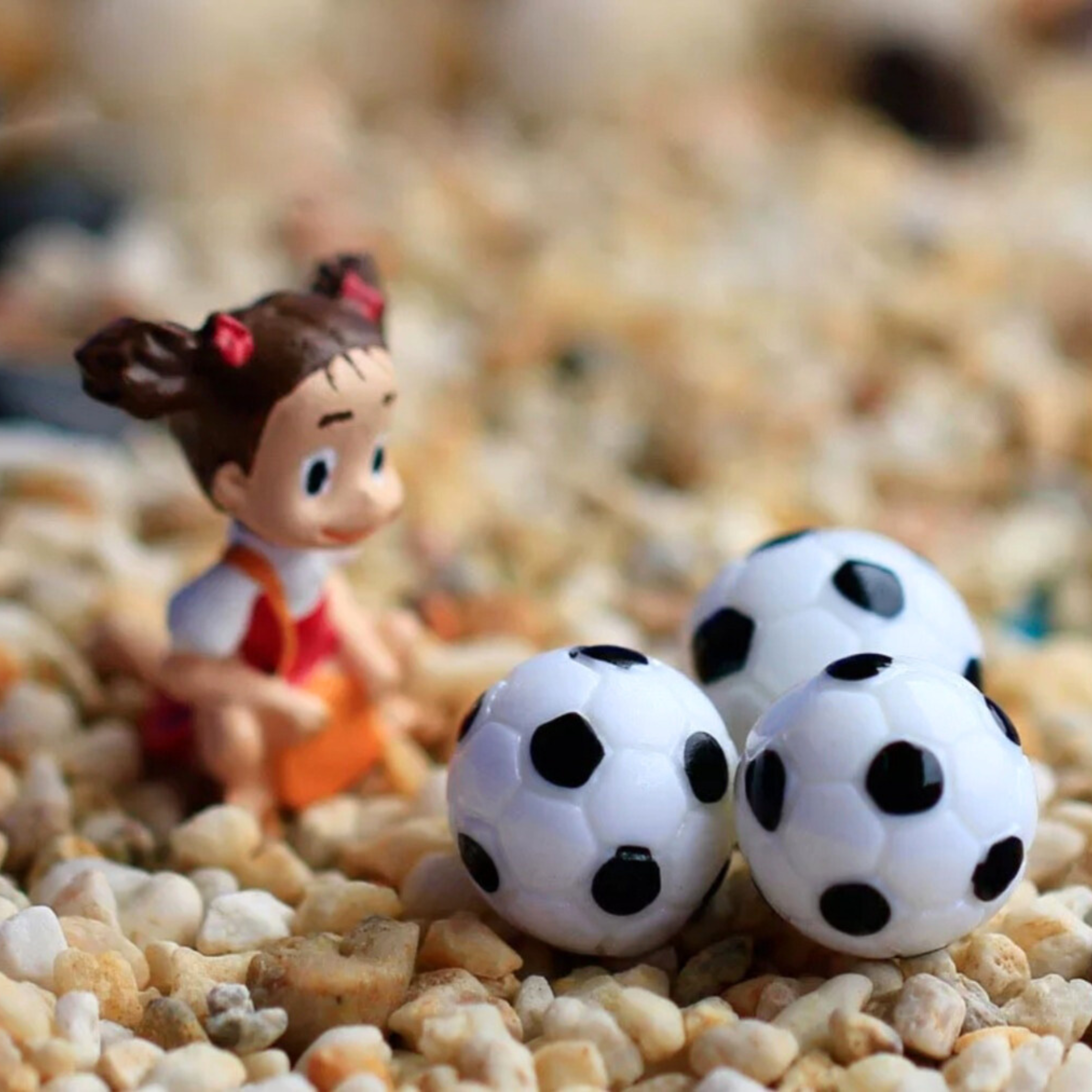 Seed2Plant Football Garden Decorative Miniature