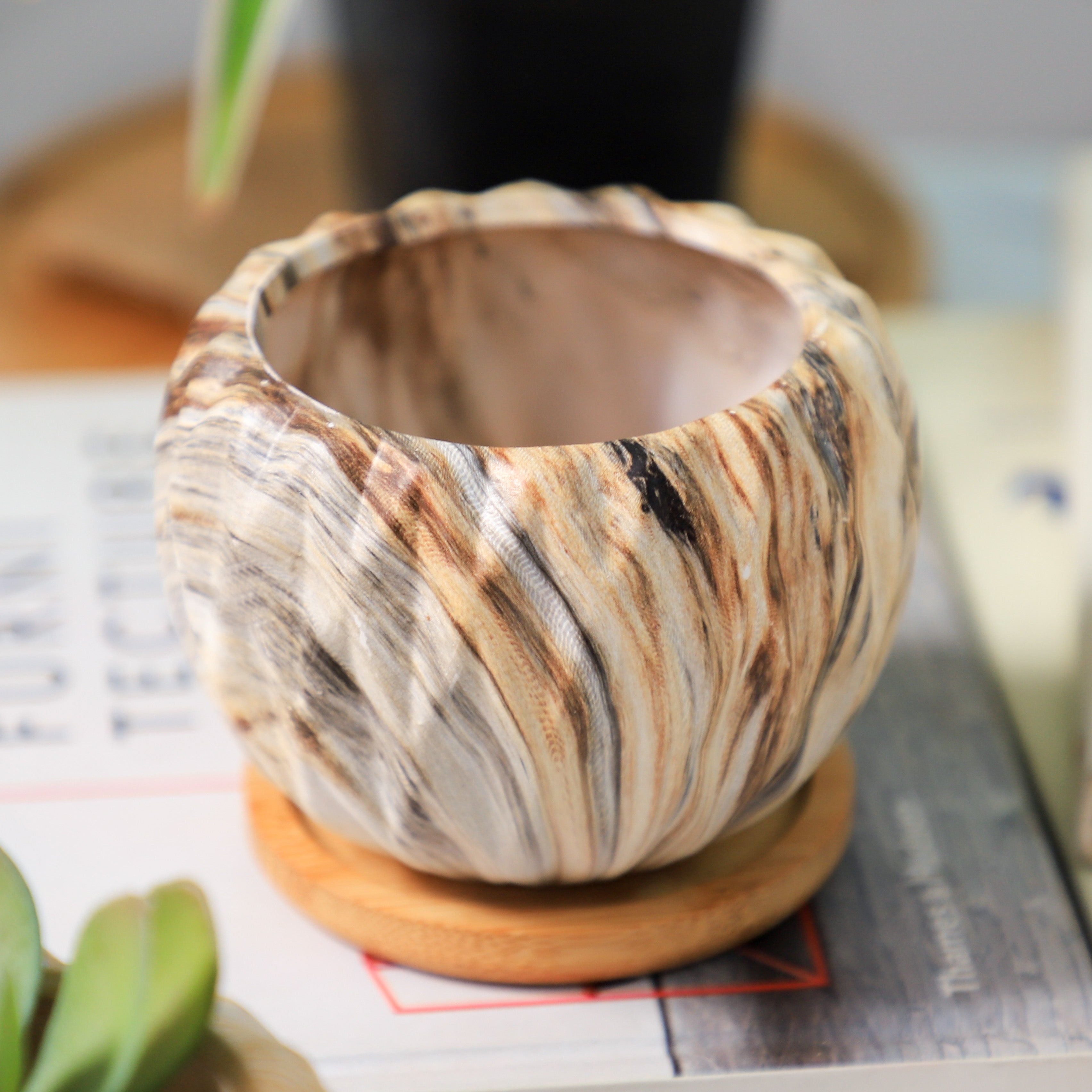 Nestasia Succulent Planter