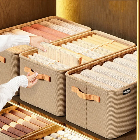 Catterton Large capacity Closet Storage Box (Pack Of 2)