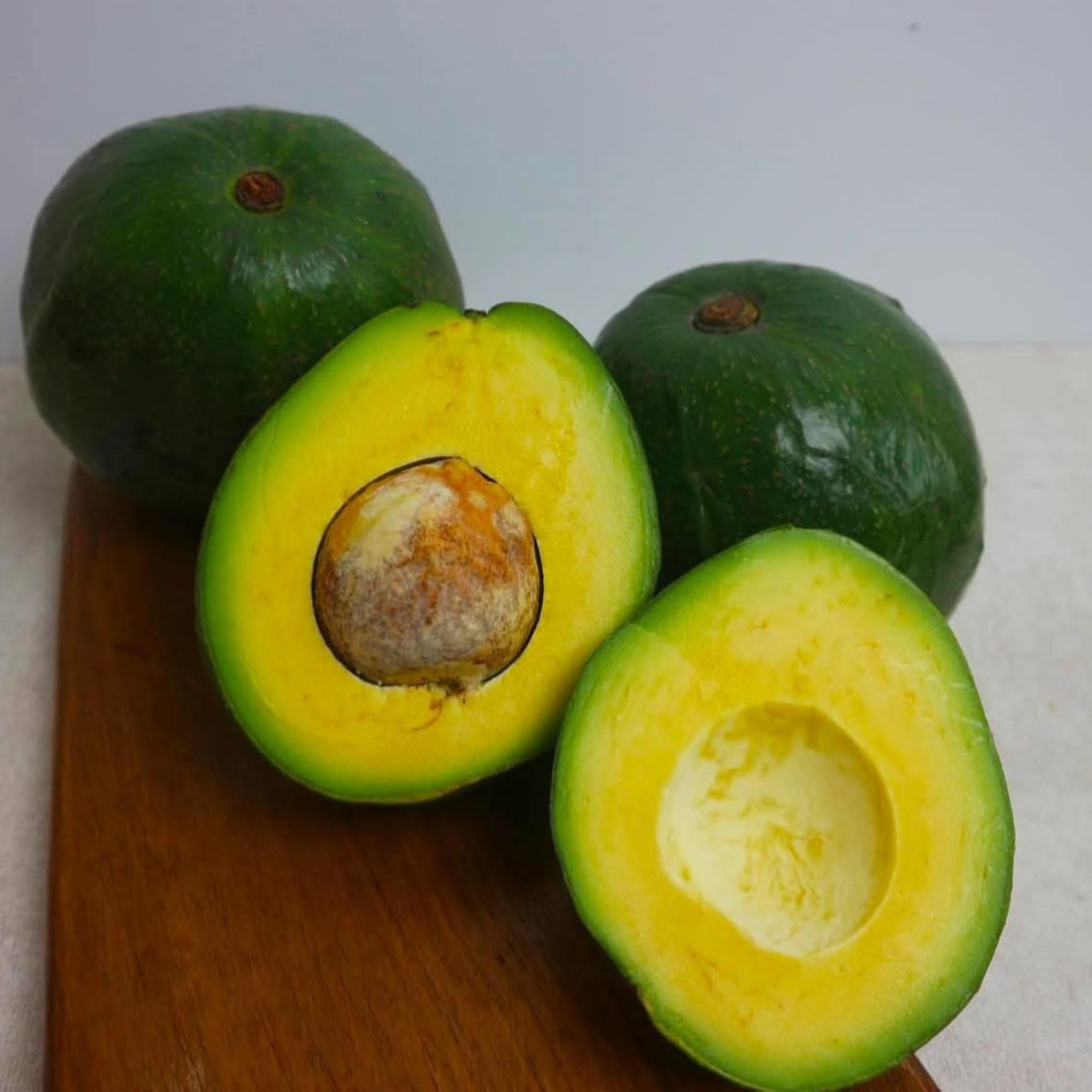 VL Kendil Avocado (Persea americana) Grafted Live Plant - view 4