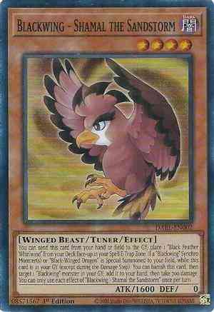 Yu-Gi-Oh! Blackwing - Shamal the Sandstorm - DABL-EN002 - Super Rare - 1st Edition