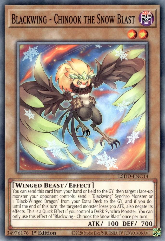 Yu-Gi-Oh! Blackwing - Chinook the Snow Blast - L5DD-ENC14 - Common - 1st Edition