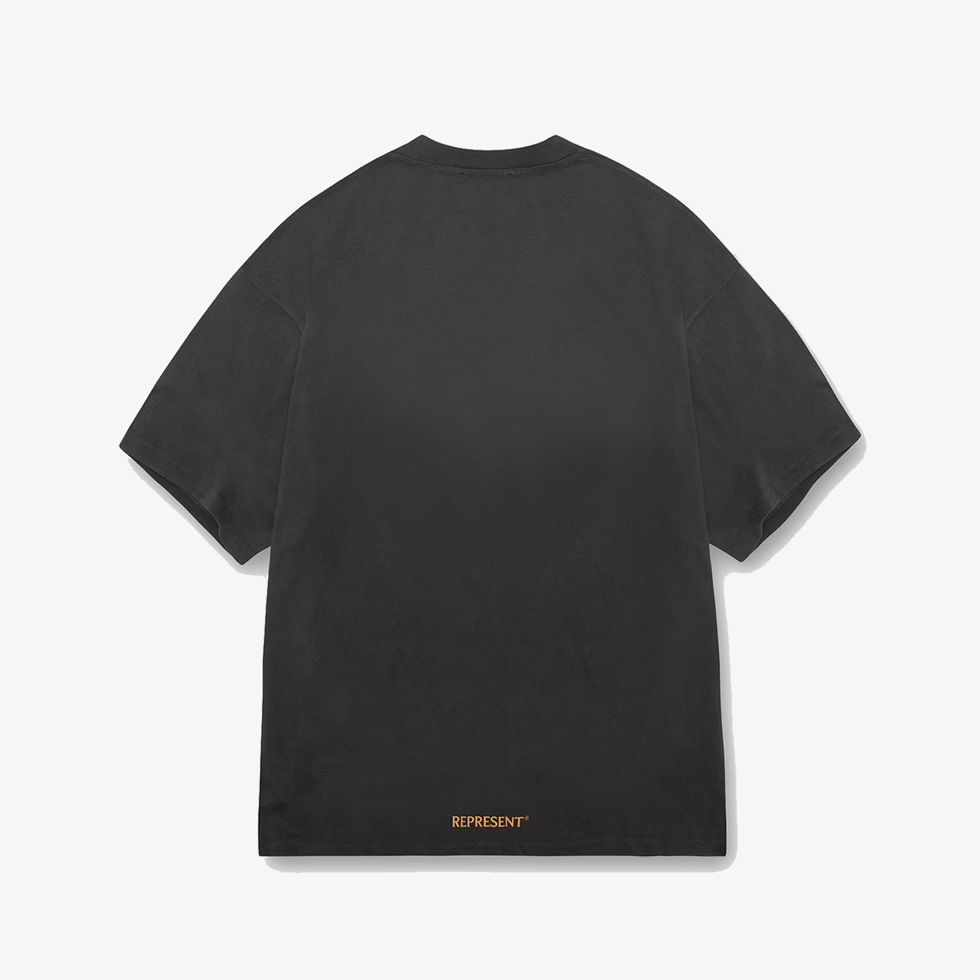 Represent | Higher Truth T-shirt { Aged Black - view 6