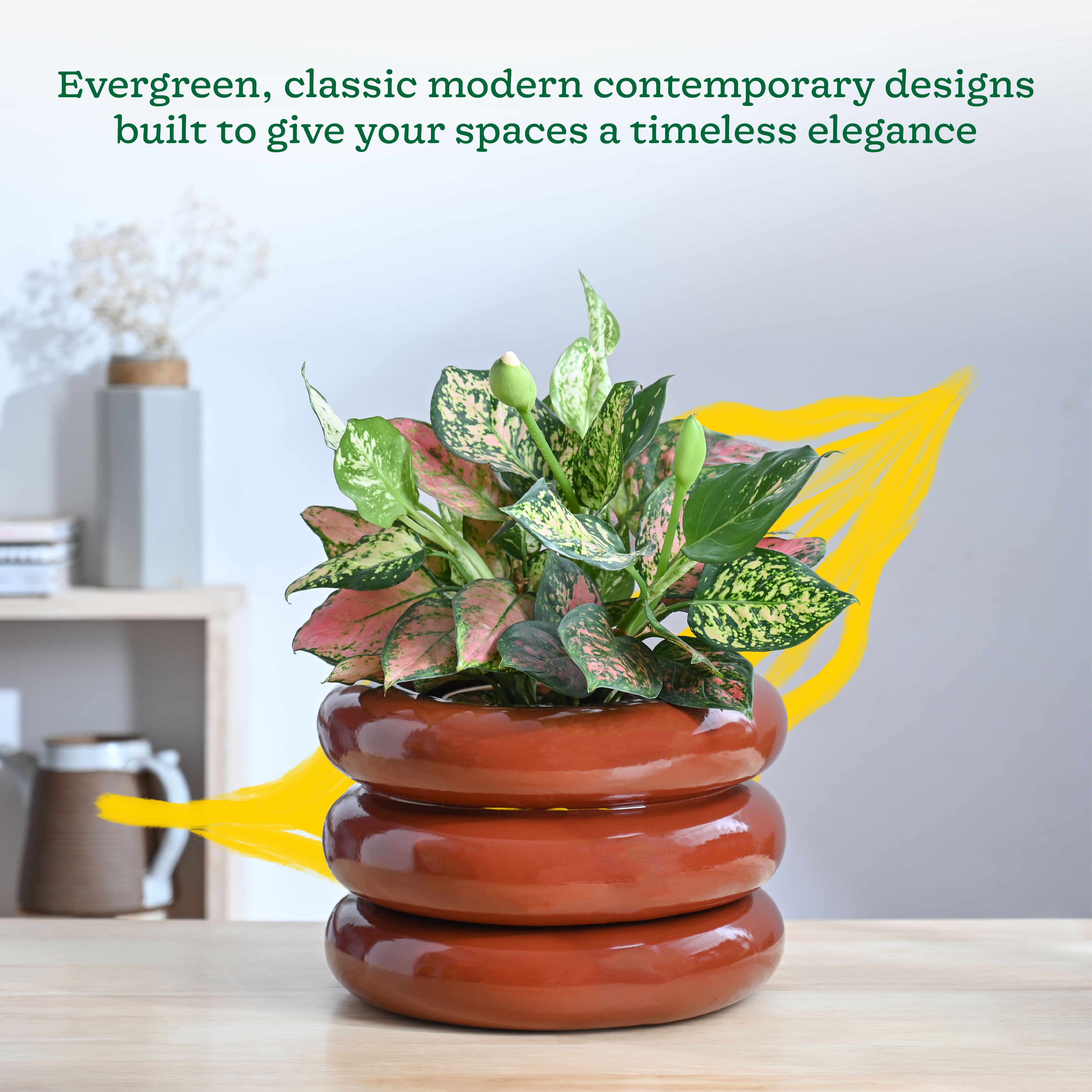 Ugaoo Tiny Kisses Ceramic Planter - view 18