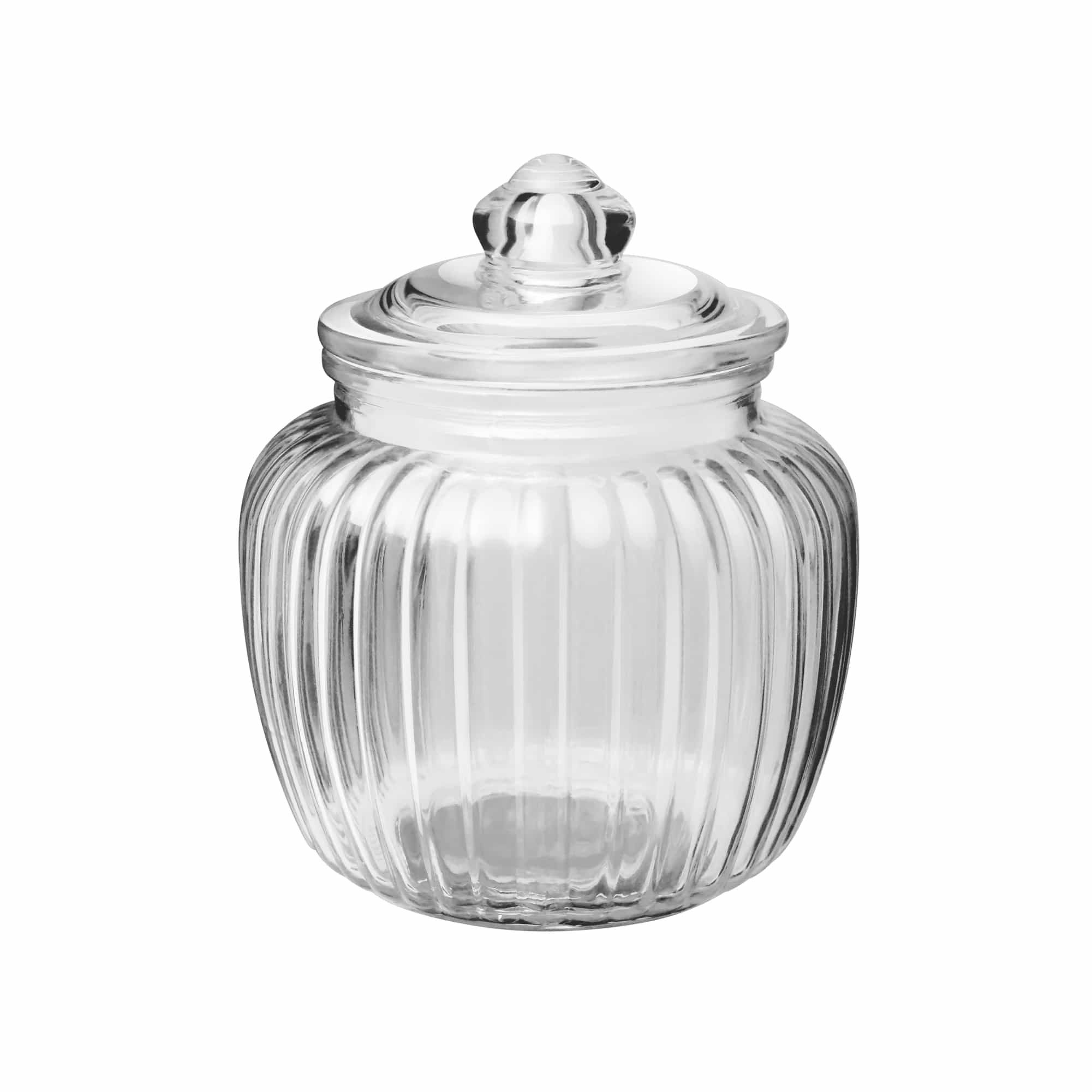 Pot Jar With Glass Lid (Treo by Milton) – Transparent