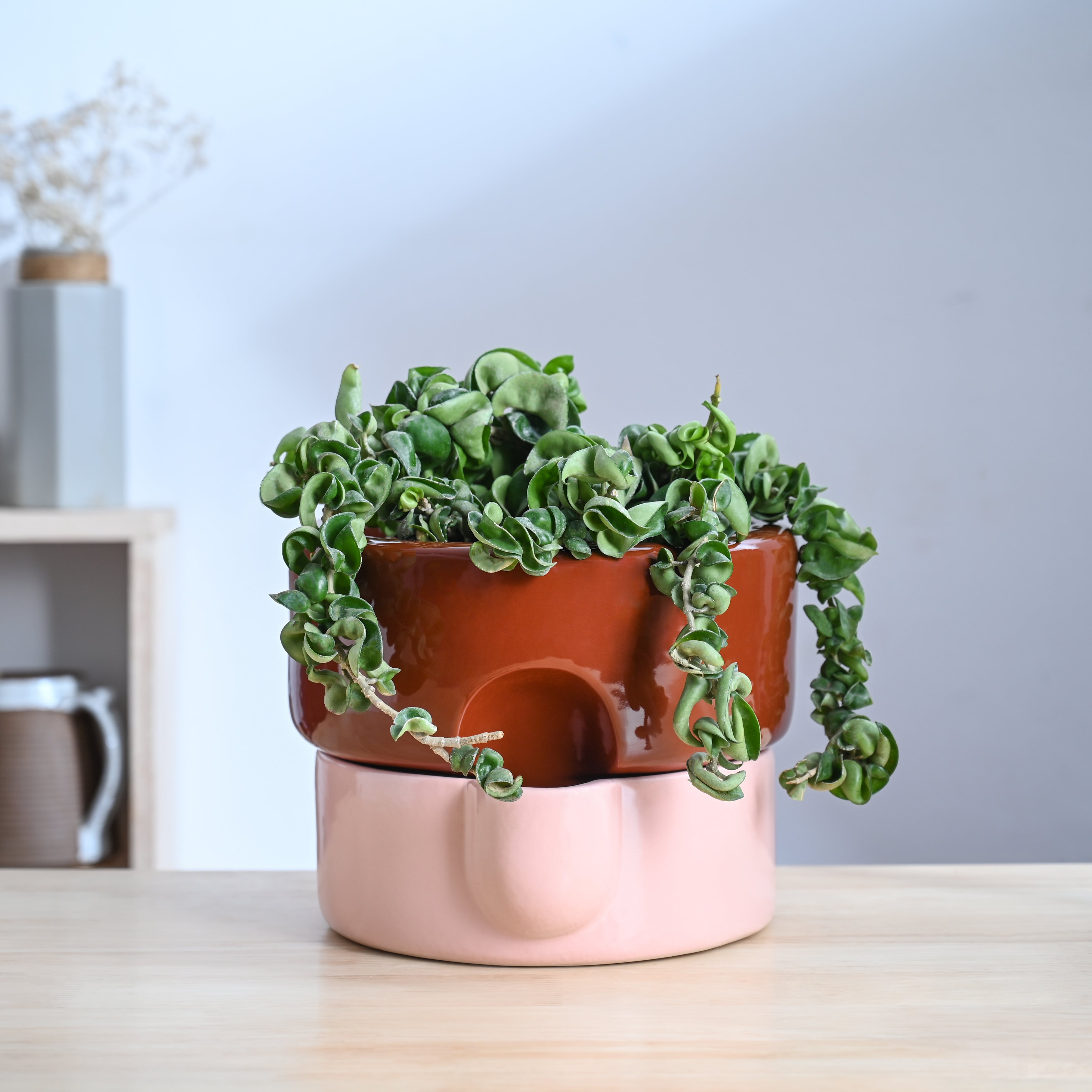 Ugaoo Flower Sunflower Ceramic Planter