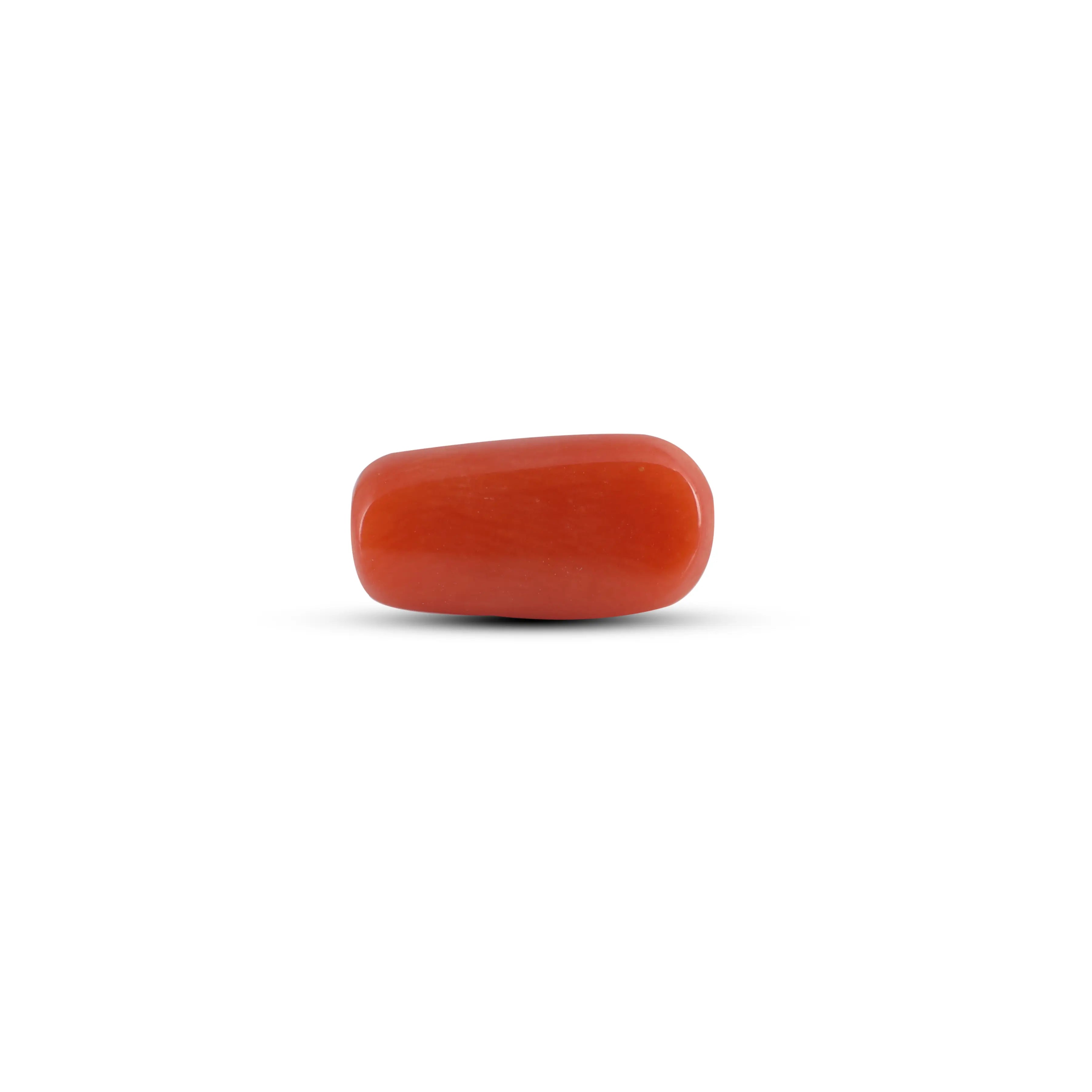 Pramogh Red Coral - 3.72 Carat - view 2