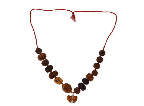 Studio Vaidik Indrakshi Mala made by 1-14 Mukhi Rudraksha (Length: 36 cm apx.) - view 2