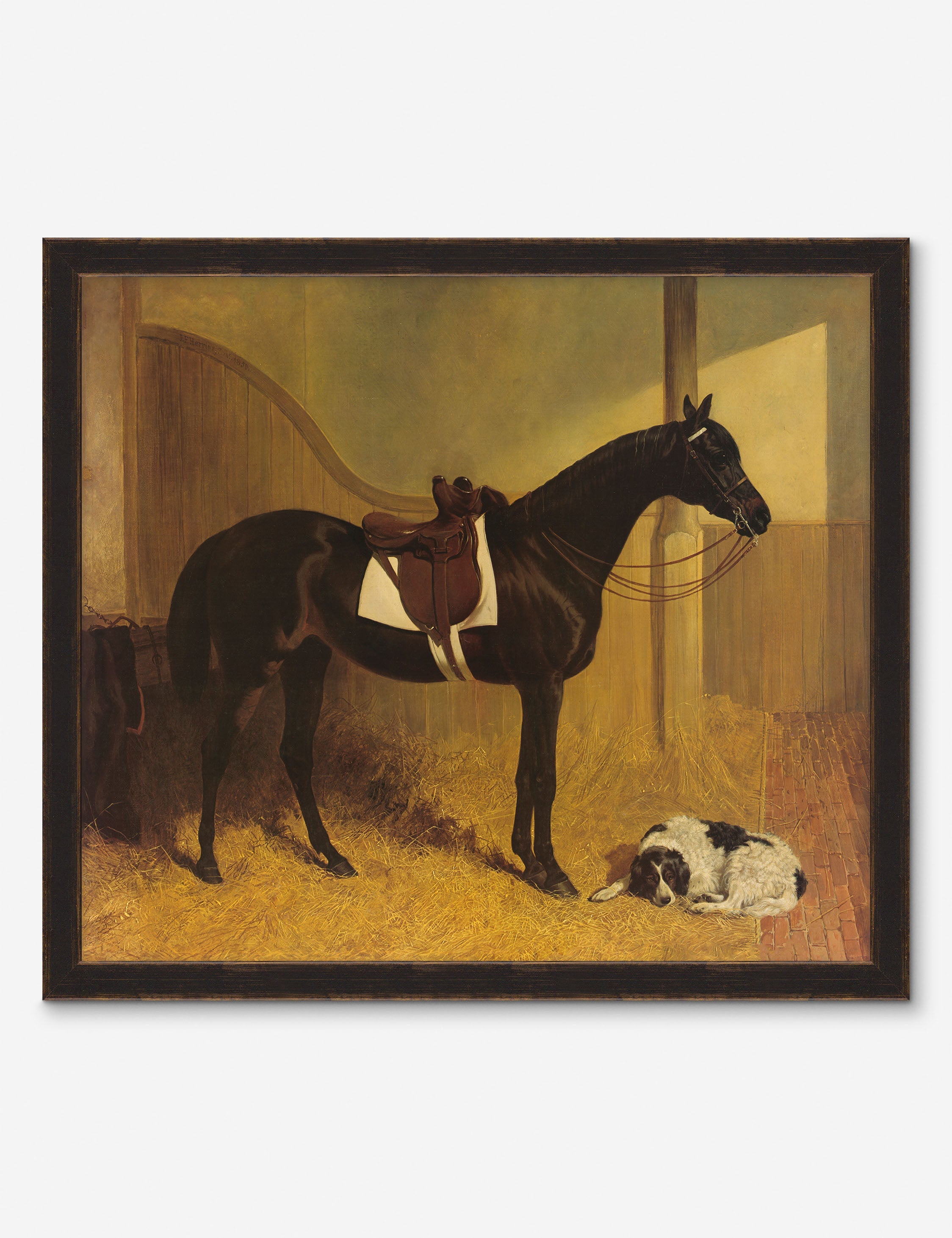 Lulu and Georgia Horse I Wall Art by Heidi Caillier