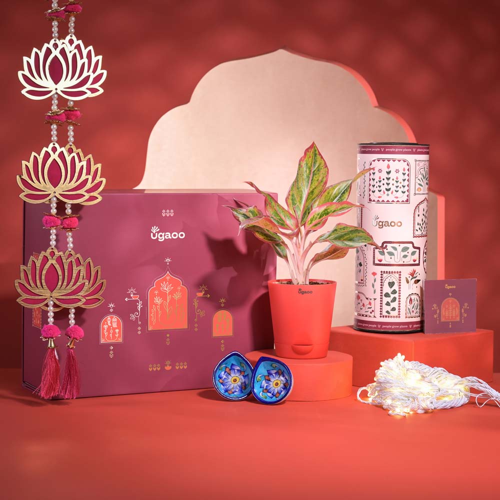 Ugaoo All The Love Diwali Gift Hamper
