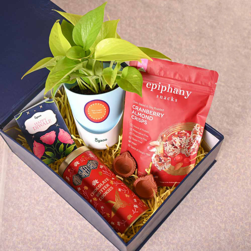 Ugaoo Money Plant Golden & Bombay Sweet Shop Diwali Gift Hamper - view 8