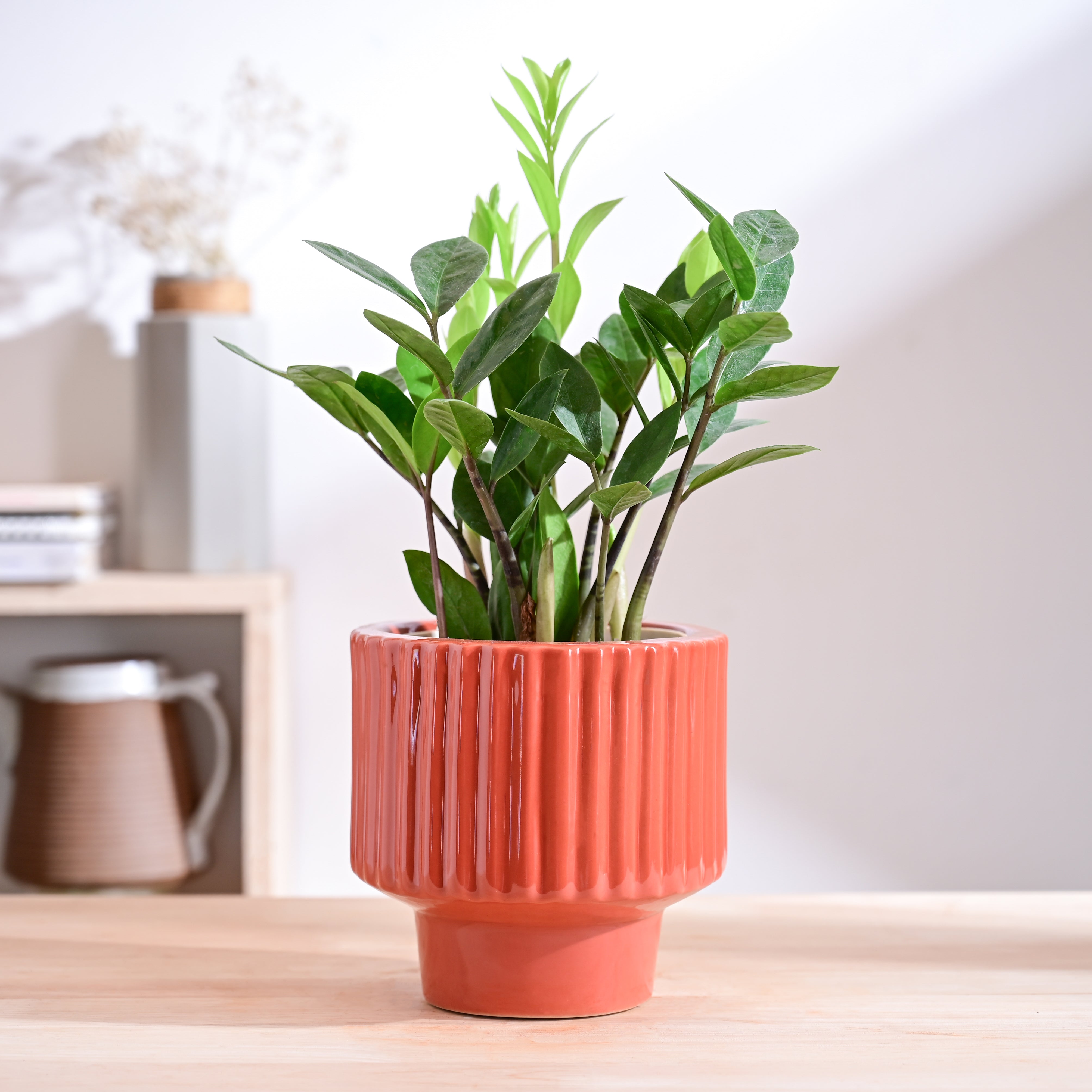Ugaoo Forms of Love Ceramic Planter - view 25