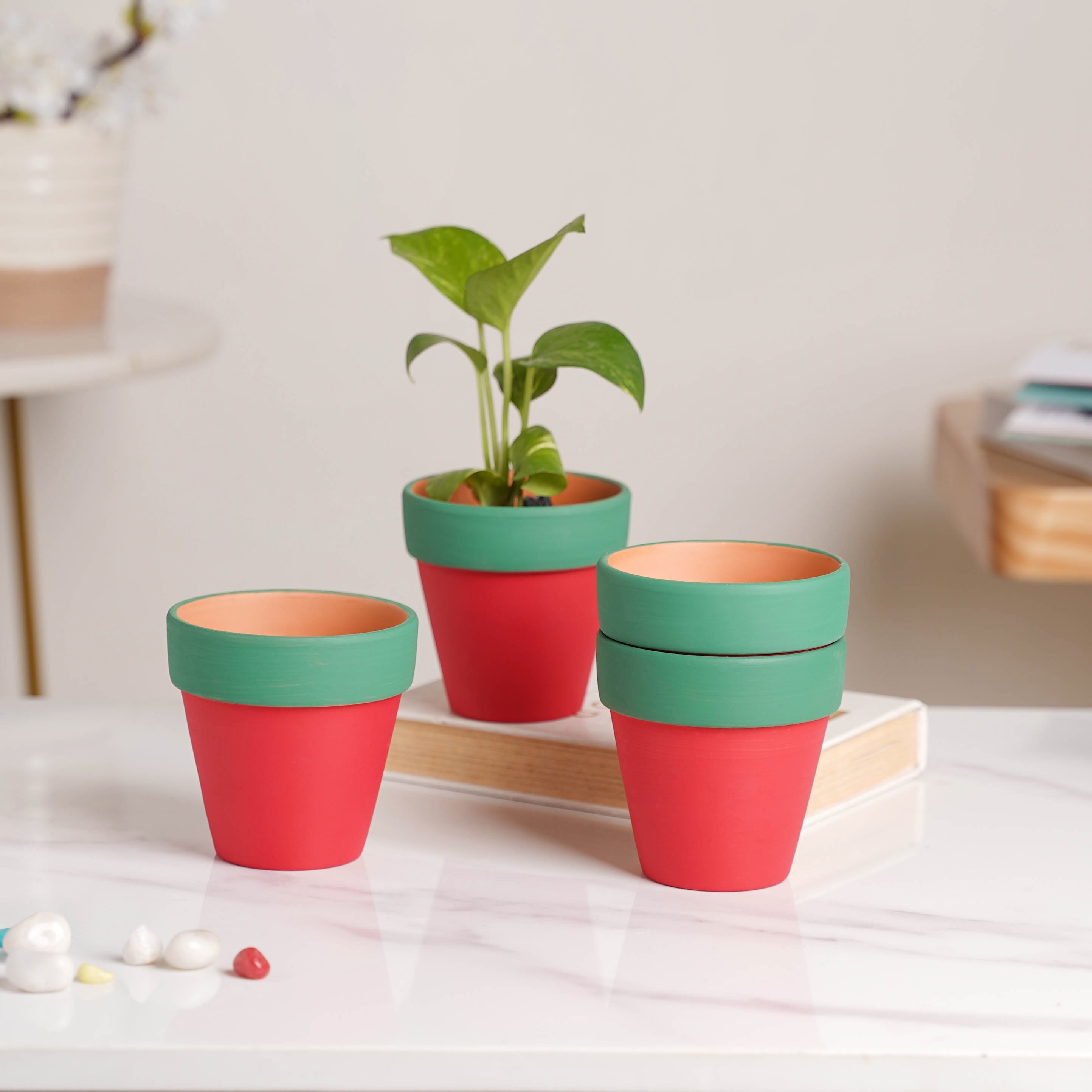 Nestasia Green Rim Red Clay Pot Set Of 4