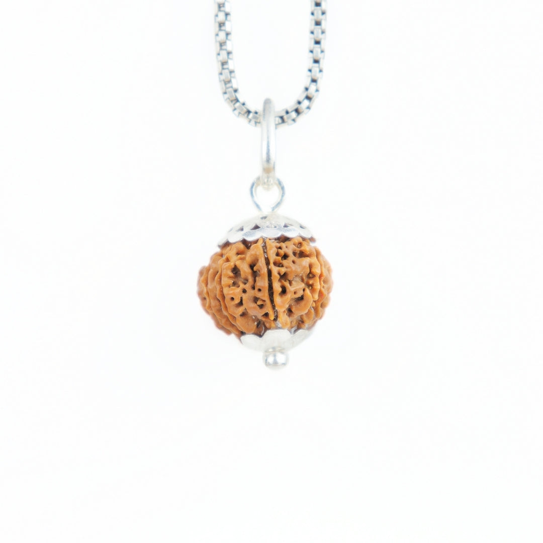 Prinjal Jewellers Silver Capping 10 Mukhi Rudraksha Pendant With Chain ( Nepali )