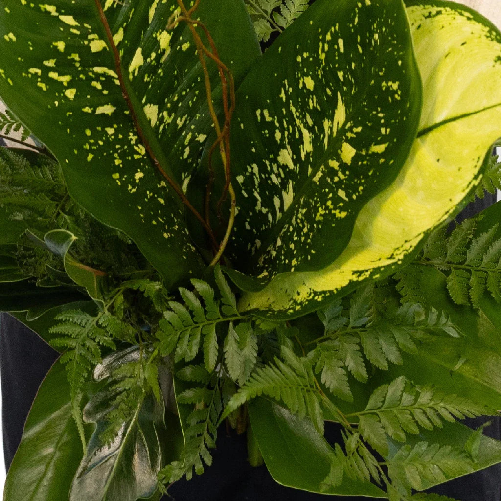 FiftyFlowers Evergreen Foliage DIY Greenery Kit - view 3