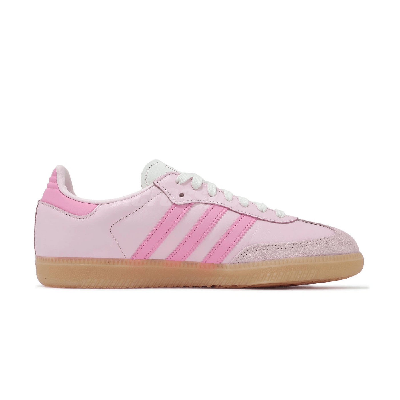 HYPE ELIXIR Adidas Samba OG Neapolitan Pack Clear Pink (Women's)