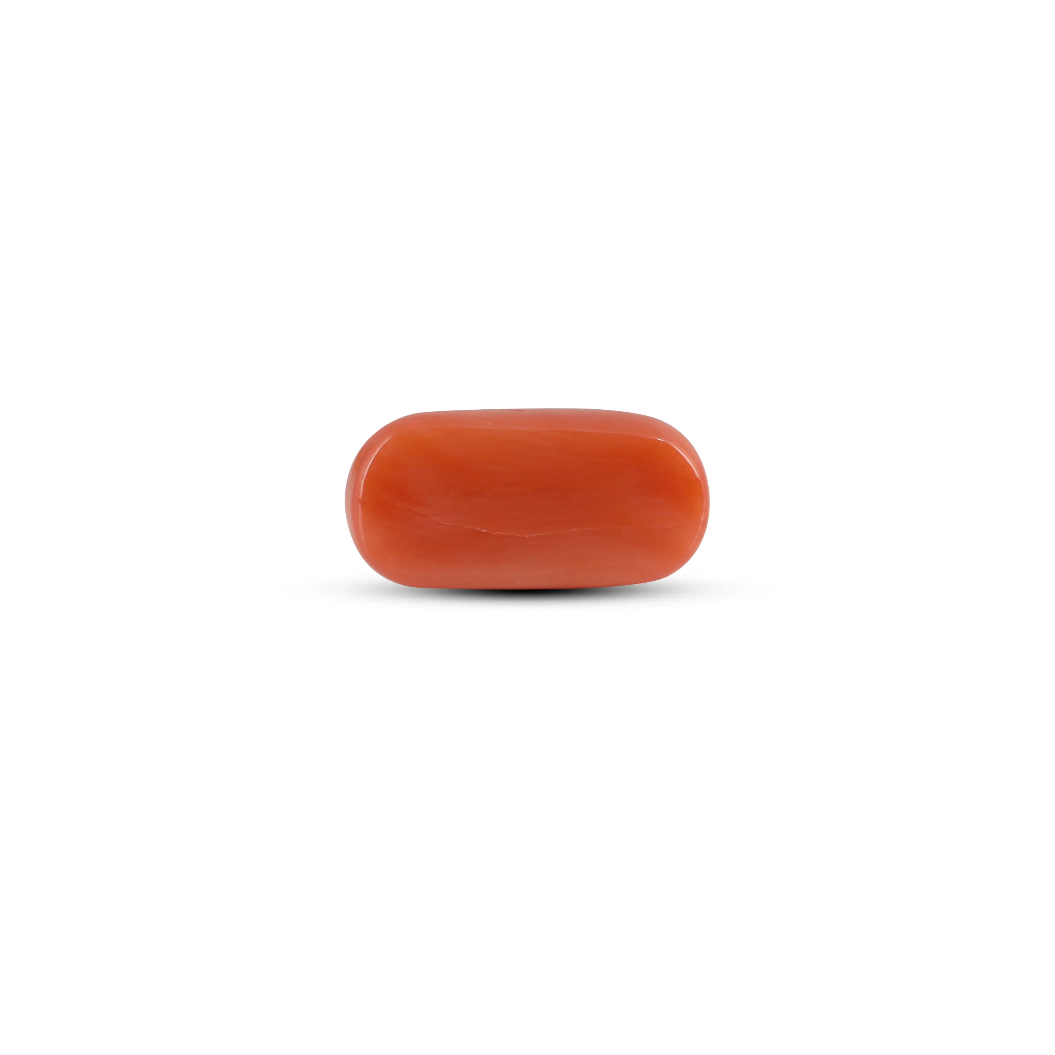 Pramogh Red Coral - 4.05 Carat - view 2